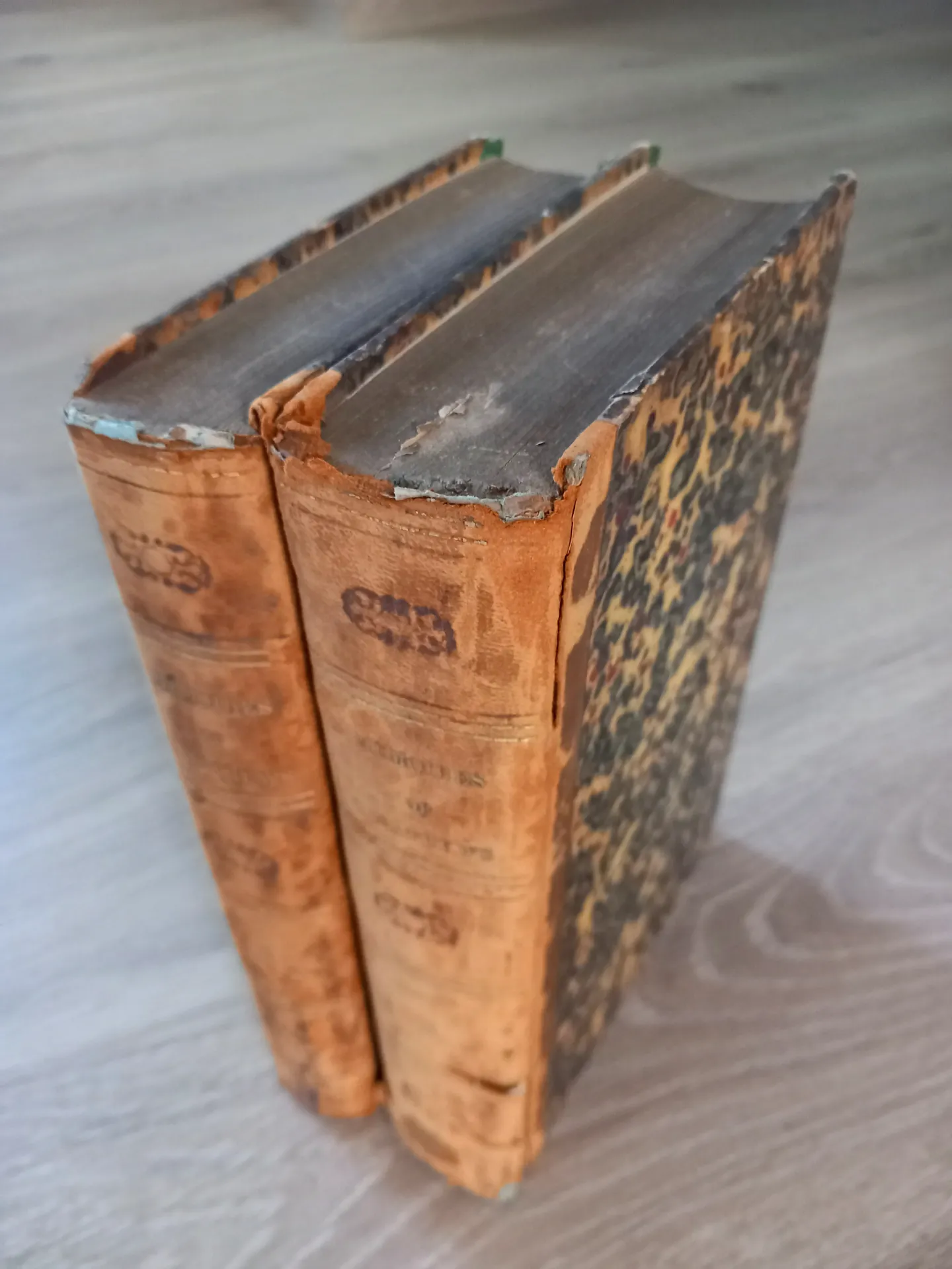 Memoires of Charles Mathews : vol 1 et 2 - 1838 (Mrs Mathews)