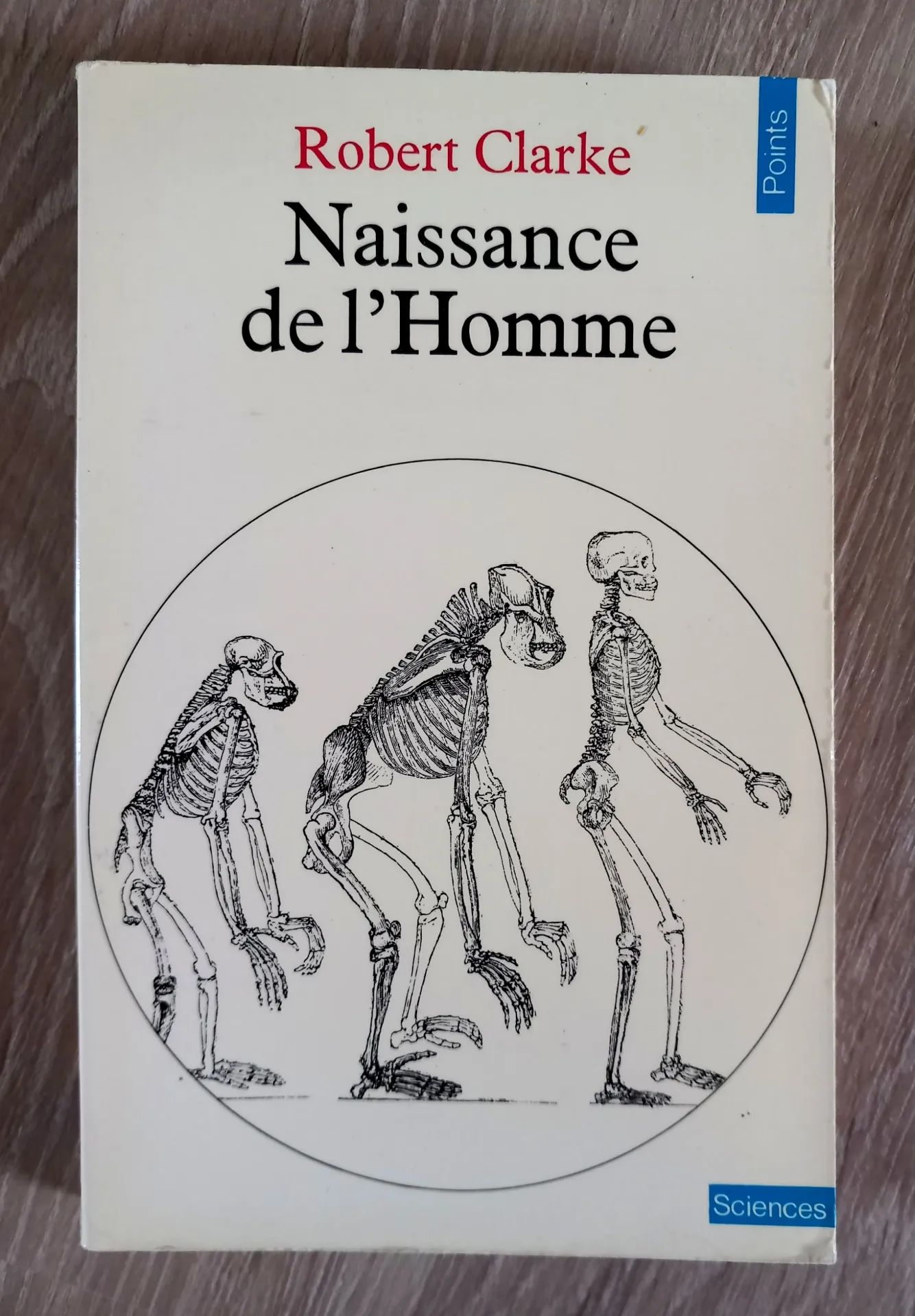 Naissance de l'Homme (Robert Clarke)