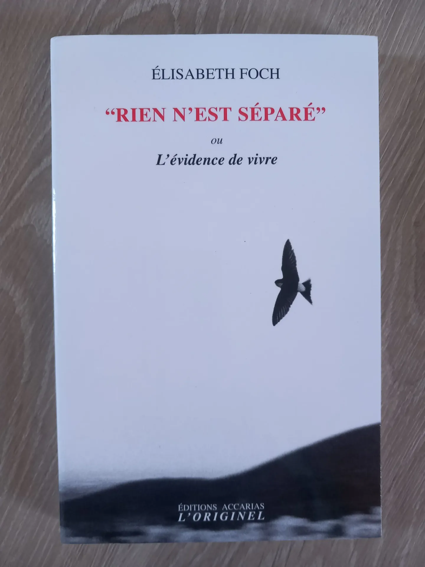 Rien n'est séparé, ou l'évidence de vivre (Elisabeth Foch)