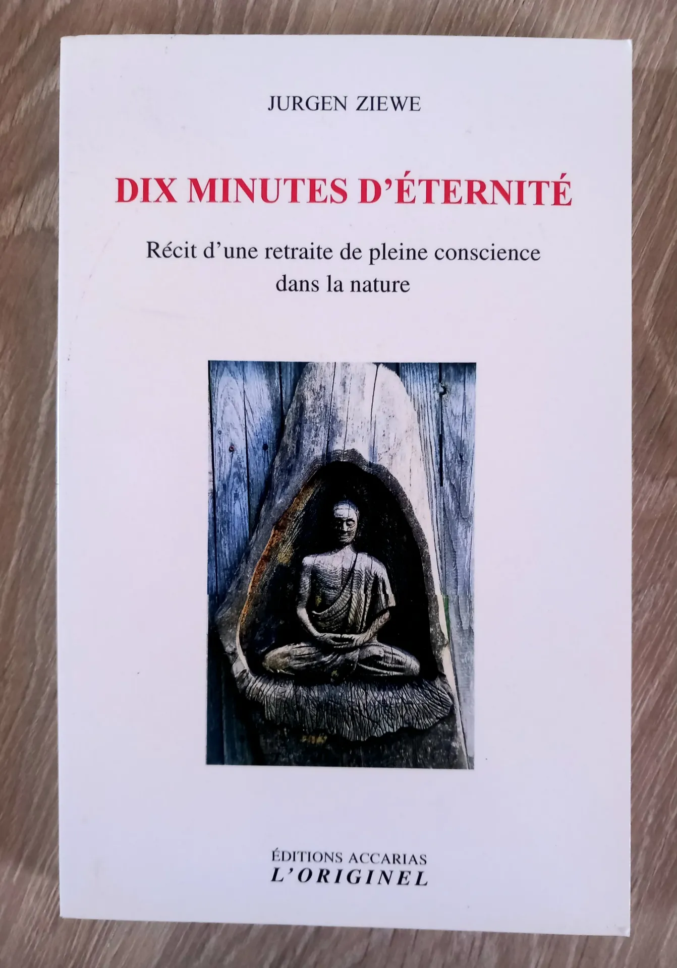 Dix minutes d'éternité (Jurgen Ziewe)