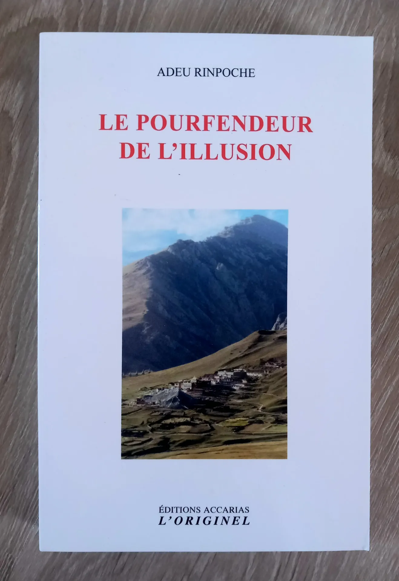 Le pourfendeur de l'illusion (Adeu Rinpoche)