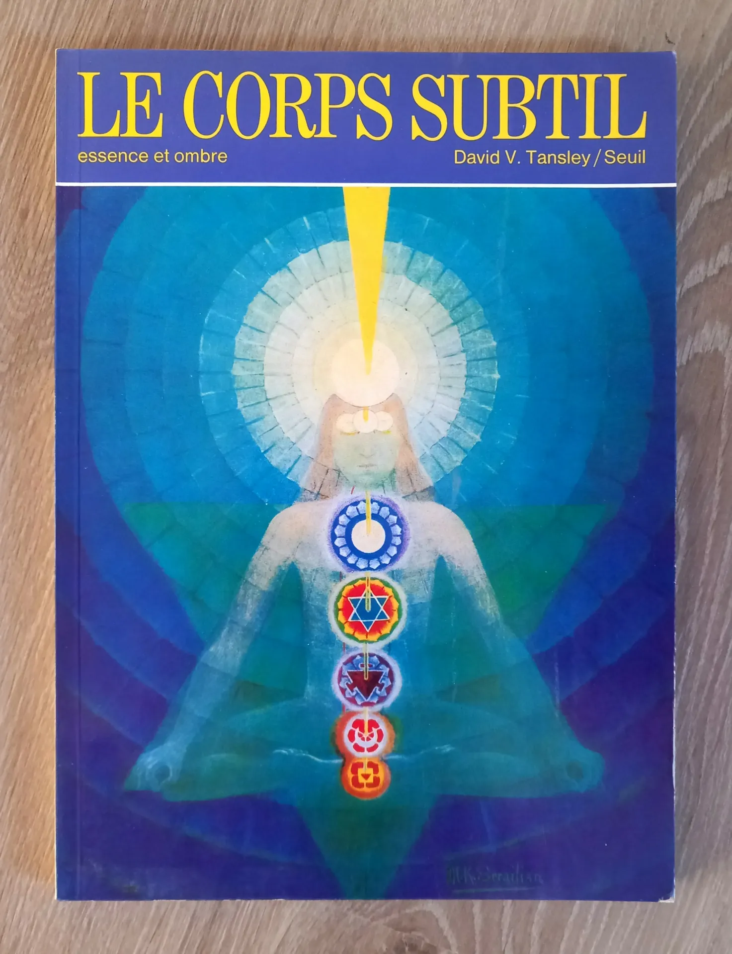 Le corps subtils, essence et ombre (David V. Tansley)