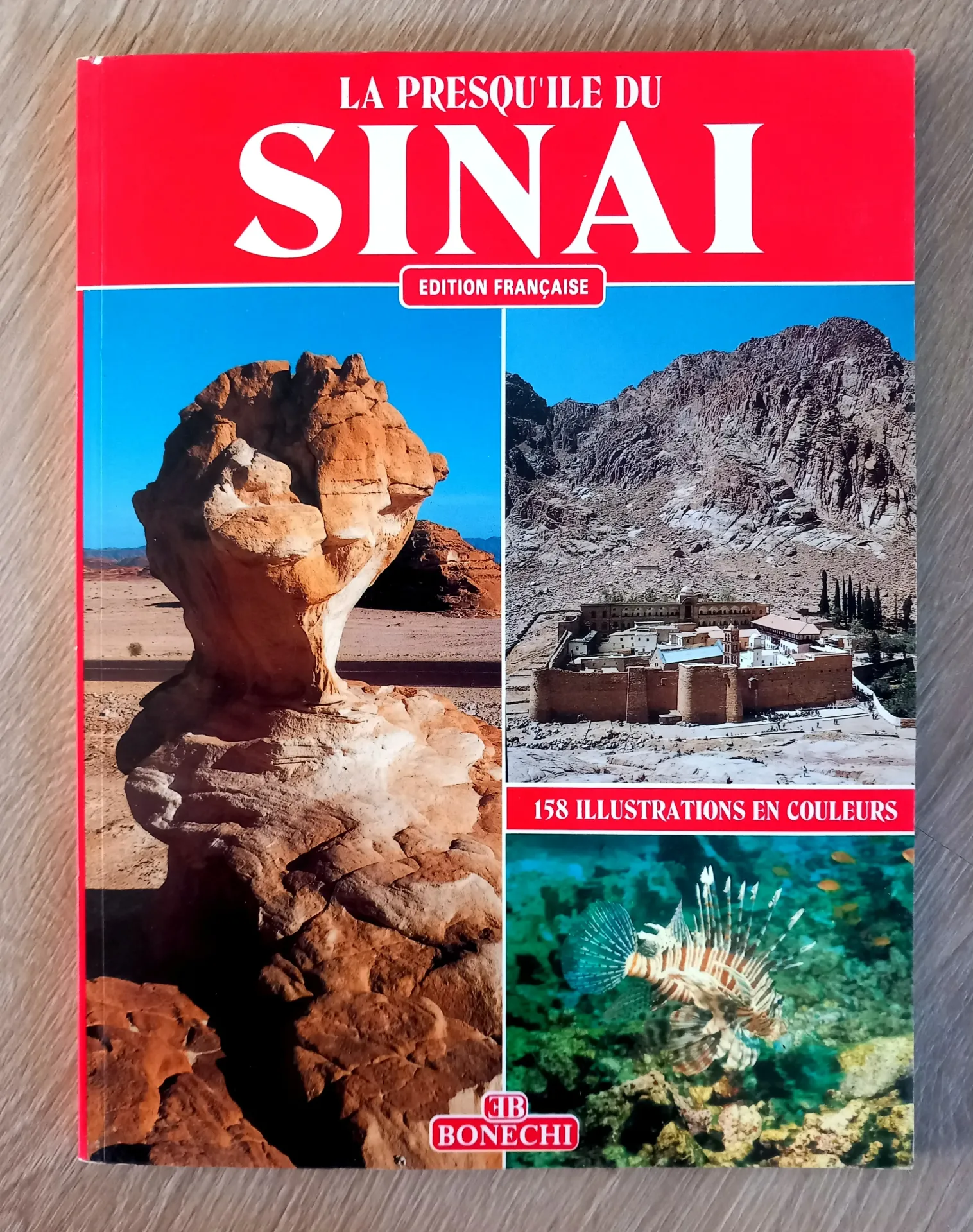 La presqu'île du Sinaï (Giovanna Magi)