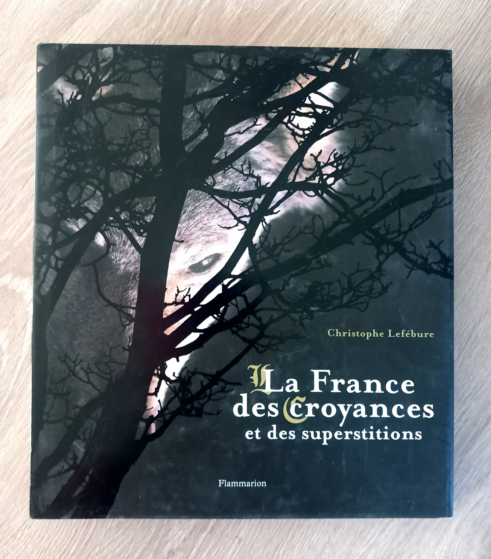 La France des croyances et des superstitions (Christophe Lefébure)