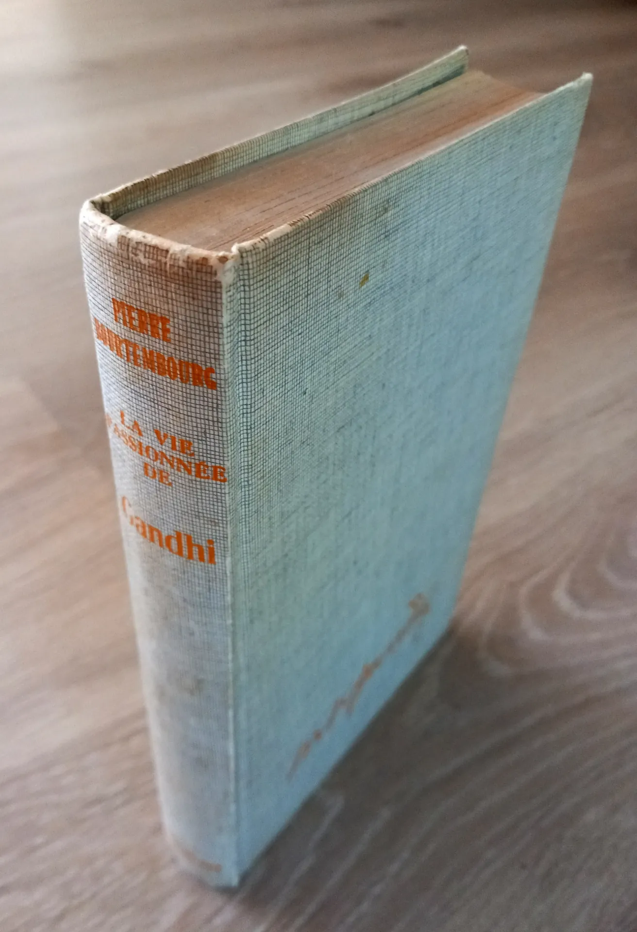 La vie passionnée de Gandhi (Pierre Bourtembourg)