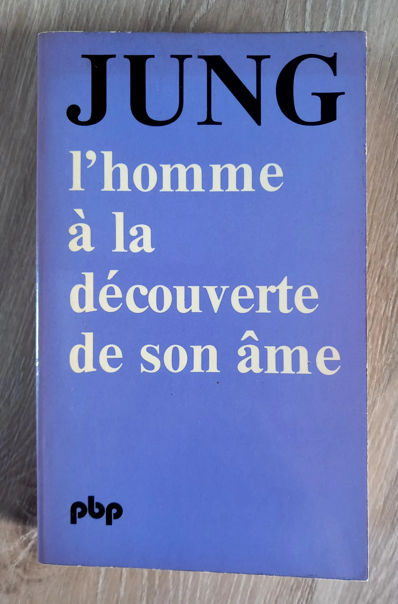 L'homme à la découverte de son âme (Carl Gustav Jung)