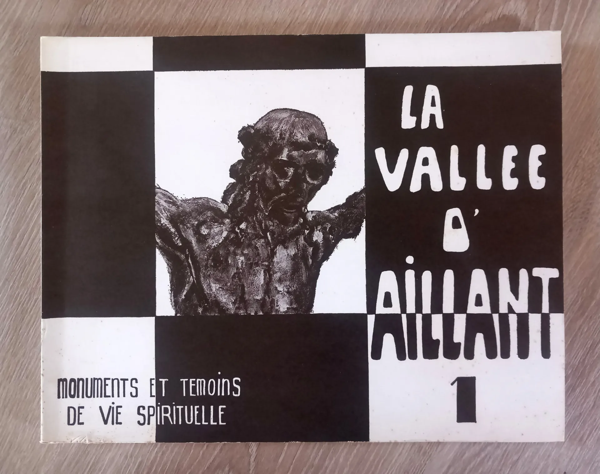 La vallée d'Aillant, tome 1 (Alype-Jean Noirot)