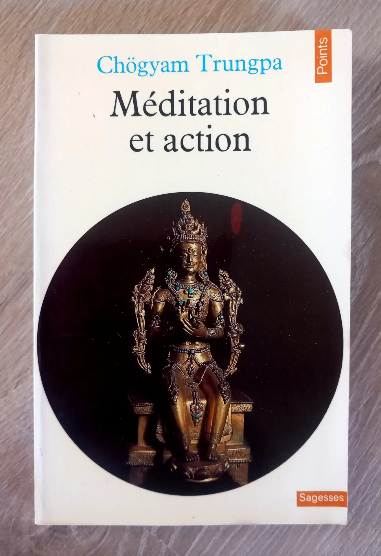 Méditation et action (Chögyam Trungpa)