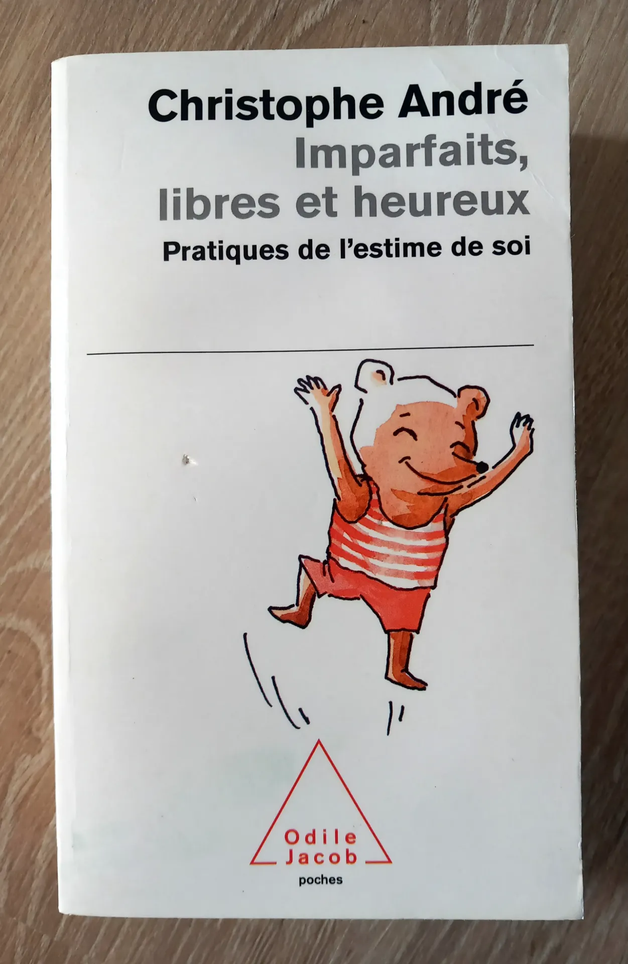 Imparfaits, libres et heureux. Pratiques de l'estime de soi (Christophe André)