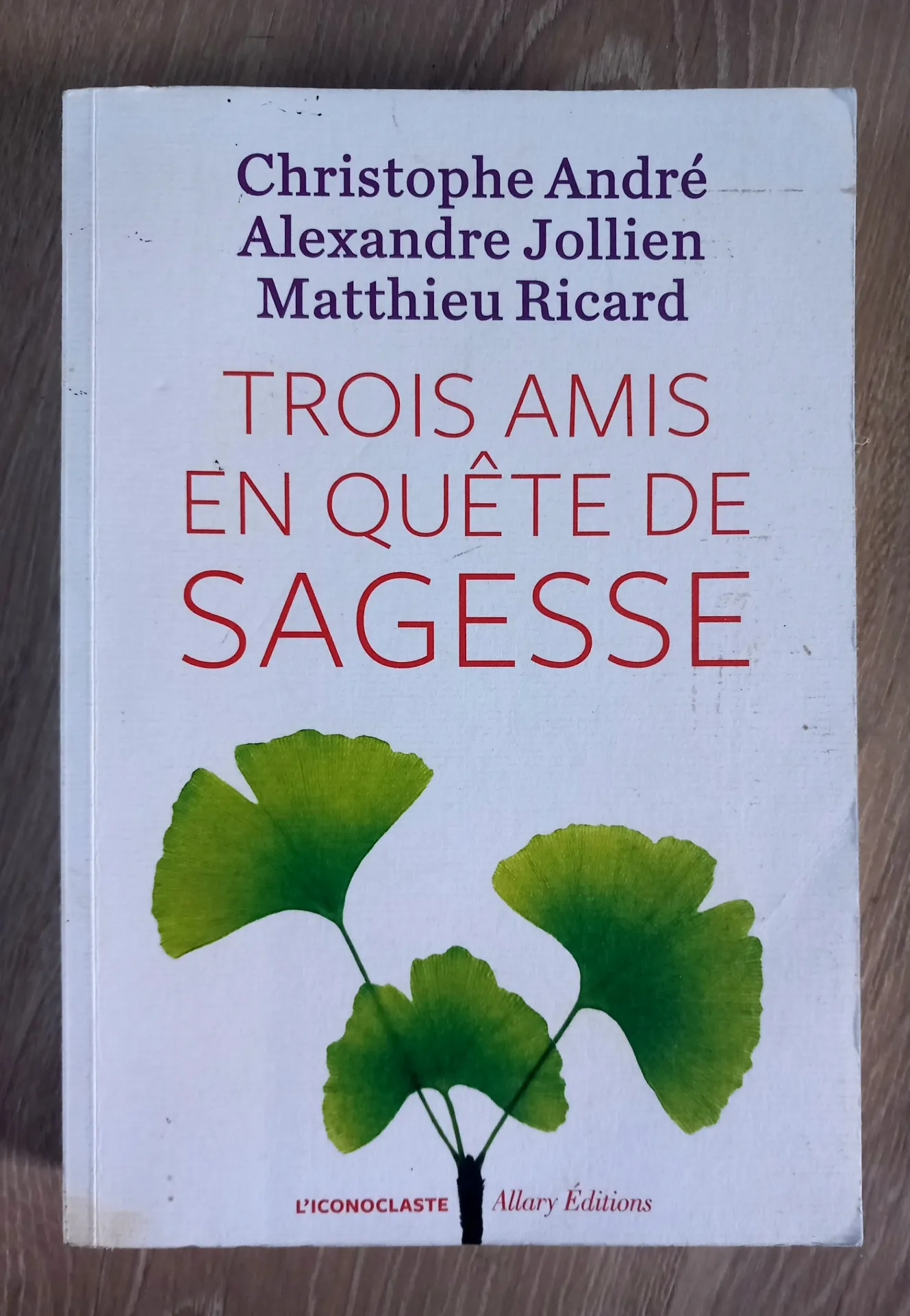 Trois amis en quête de sagesse (Christophe André, Alexandre Jollien, Matthieu Ricard)