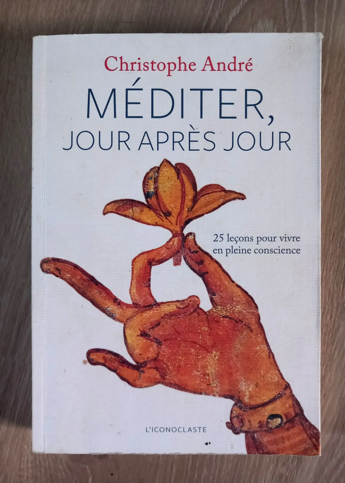 Méditer, jour après jour (Christophe André)