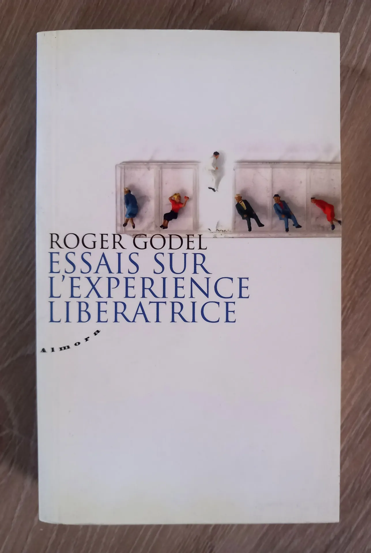 Essais sur l'expérience libératrice (Roger Godel)