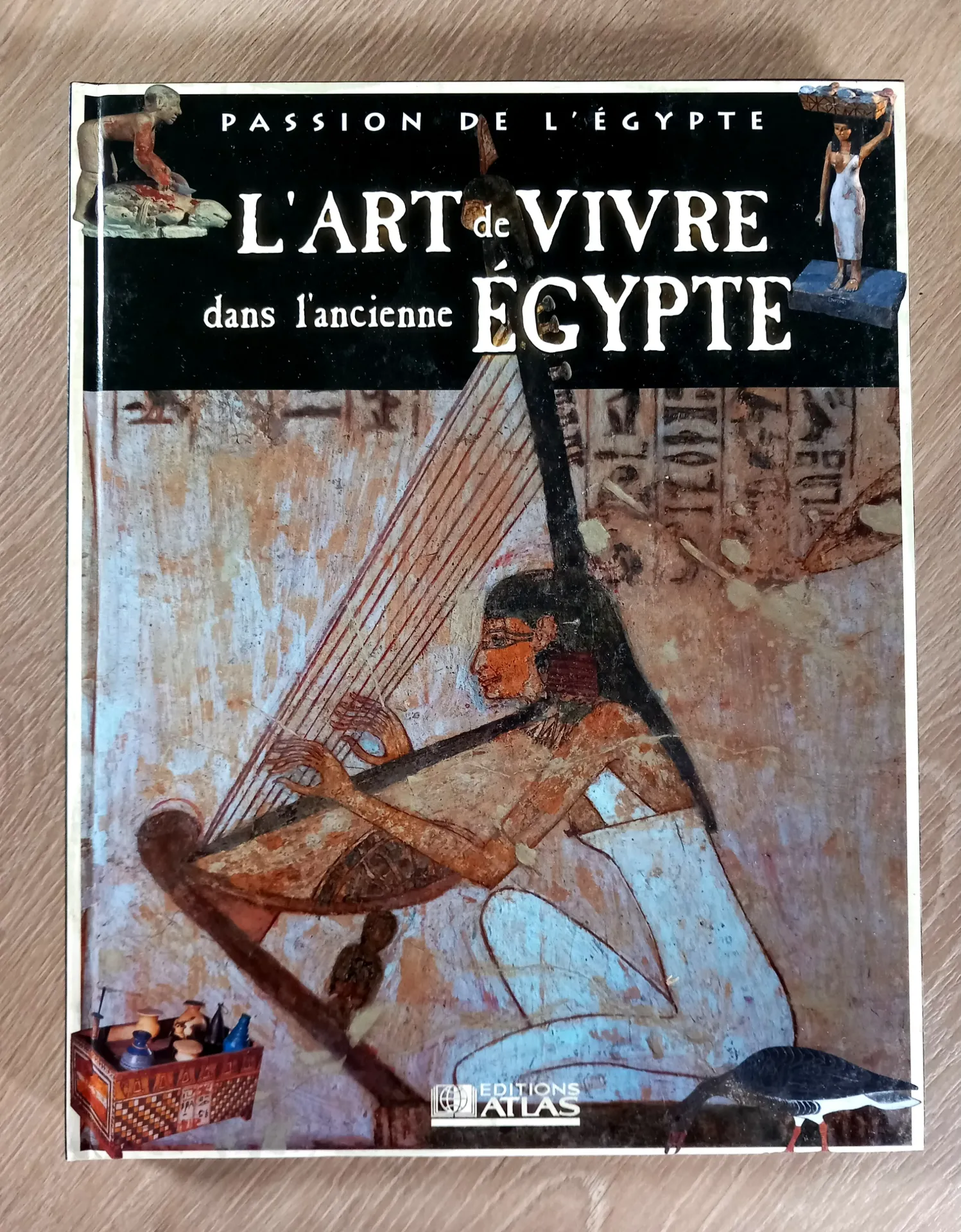 Passion de l'Egypte : L'art de vivre dans l'ancienne Egypte