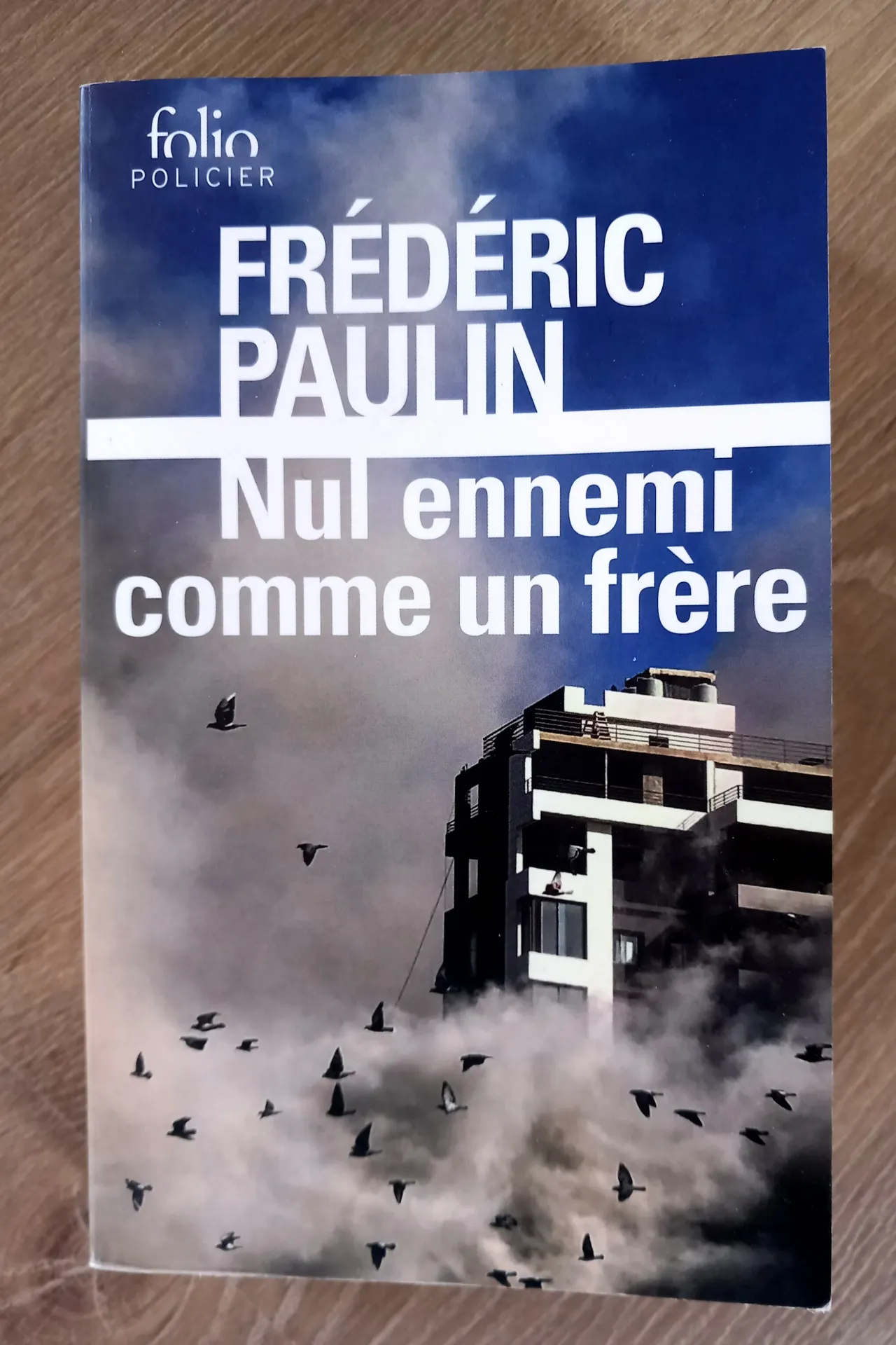 Nul ennemi comme un frère (Frédéric Paulin)