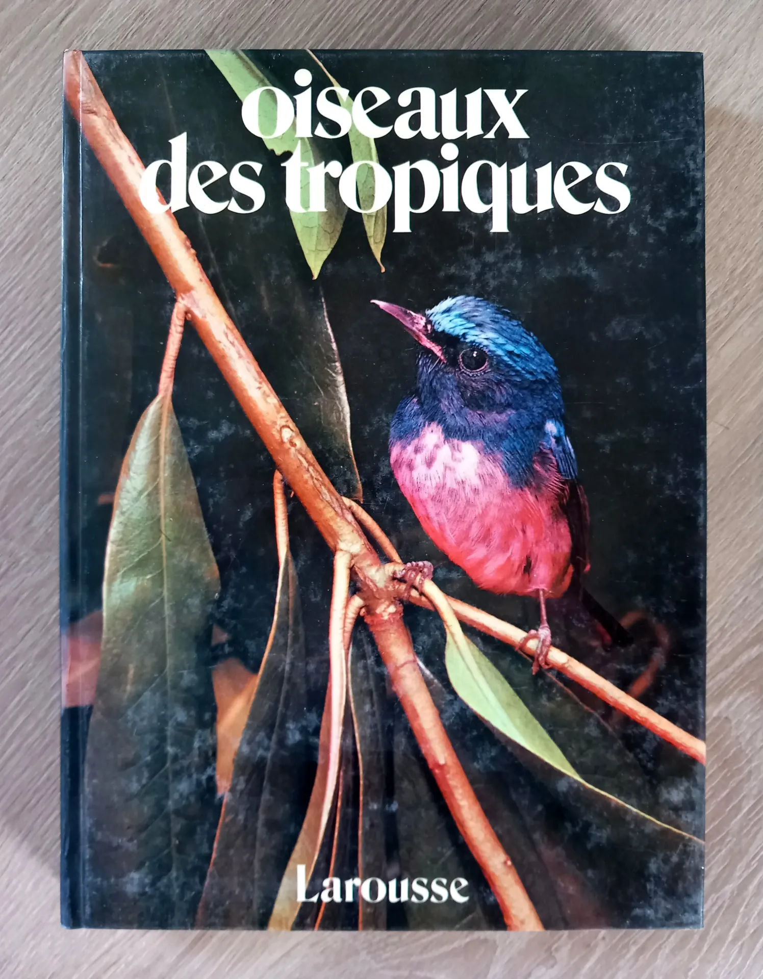 Oiseaux des tropiques (C. Cova)