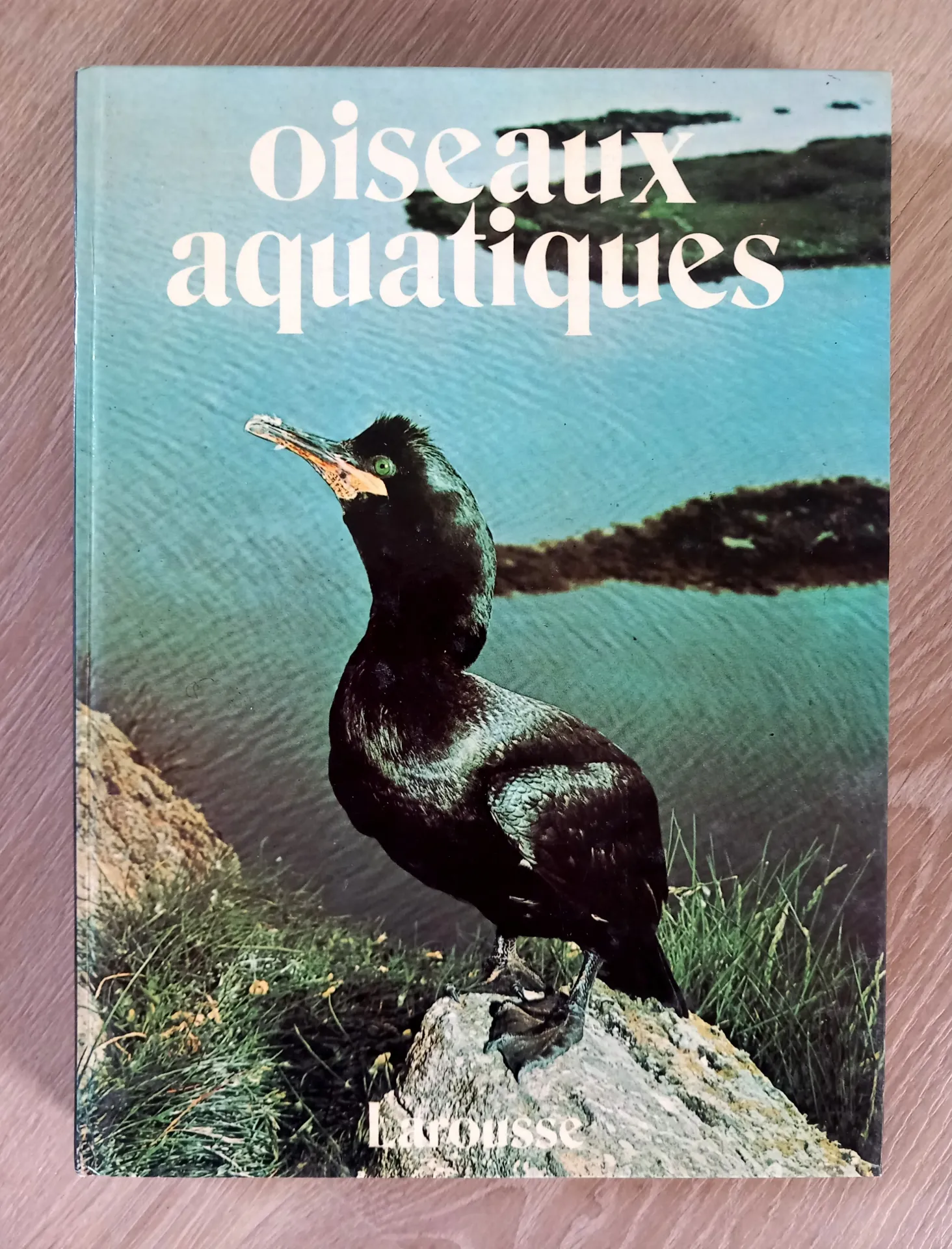 Oiseaux acquatiques (L. Penati)