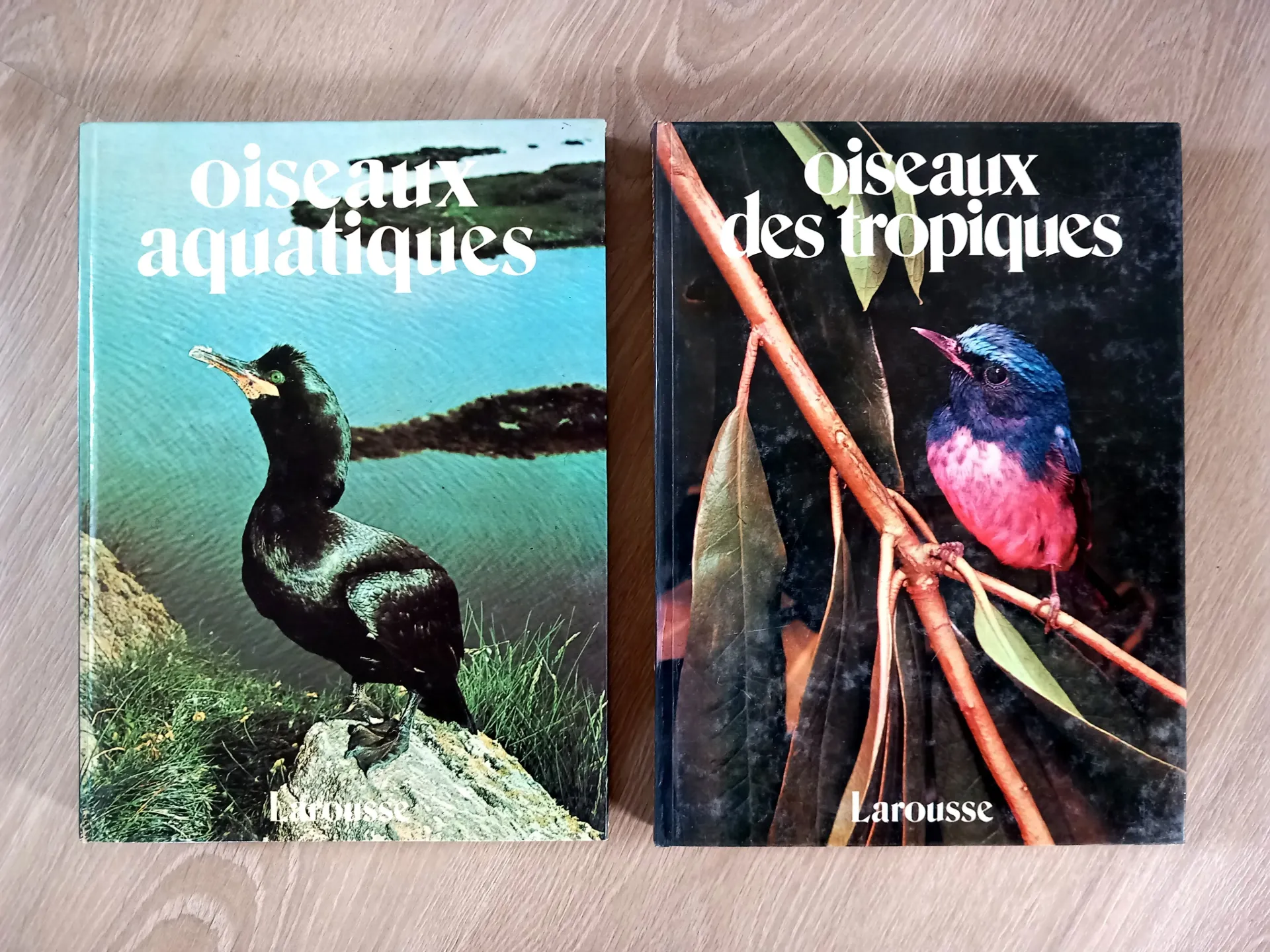Lot : 2 livres sur les oiseaux