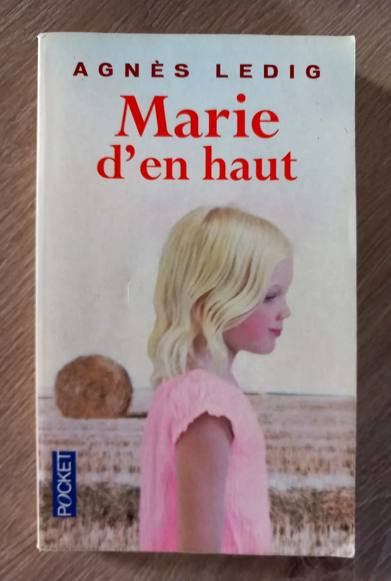 Marie d'en haut (Agnès Ledig)