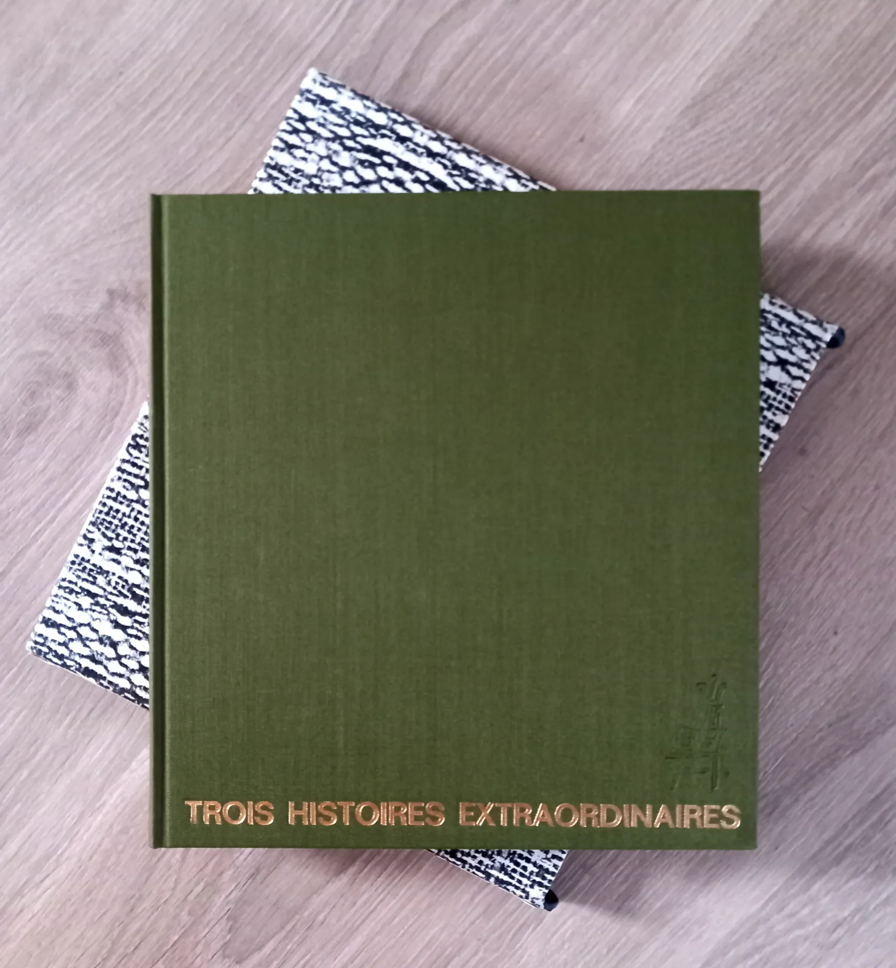 Edgar Poe - Trois histoires extraordinaires (Michel Ciry)