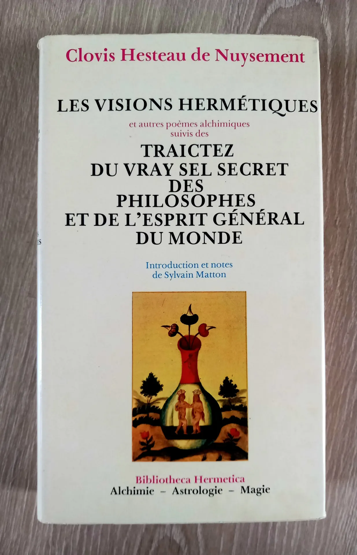 Les visions hermétiques - Traictez du vray sel secret des philosophes (Clovis Hesteau de Nuysement)