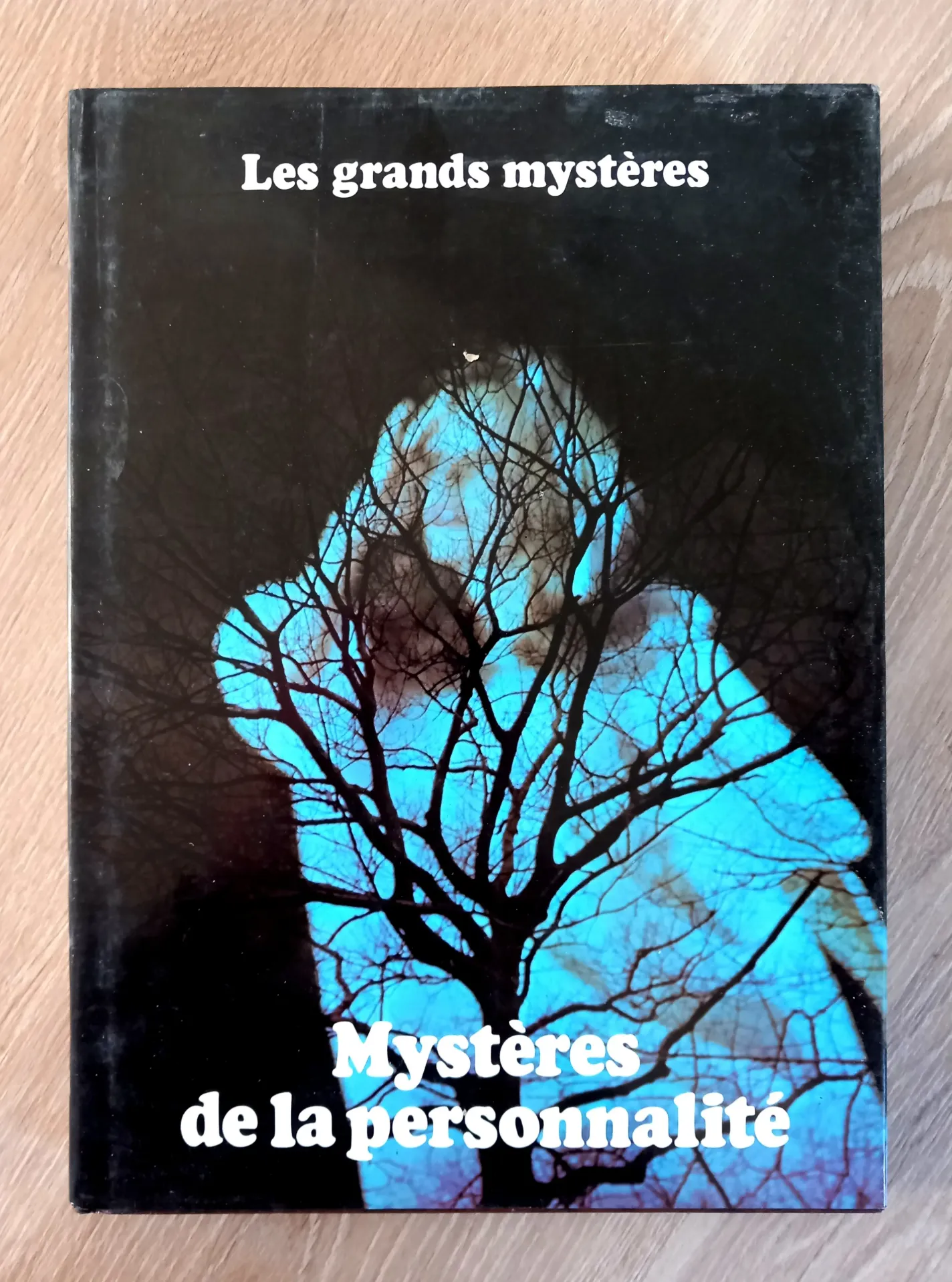 Mystères de la personnalité, tome 2 - Les grands mystères (Stuart Holroyd)