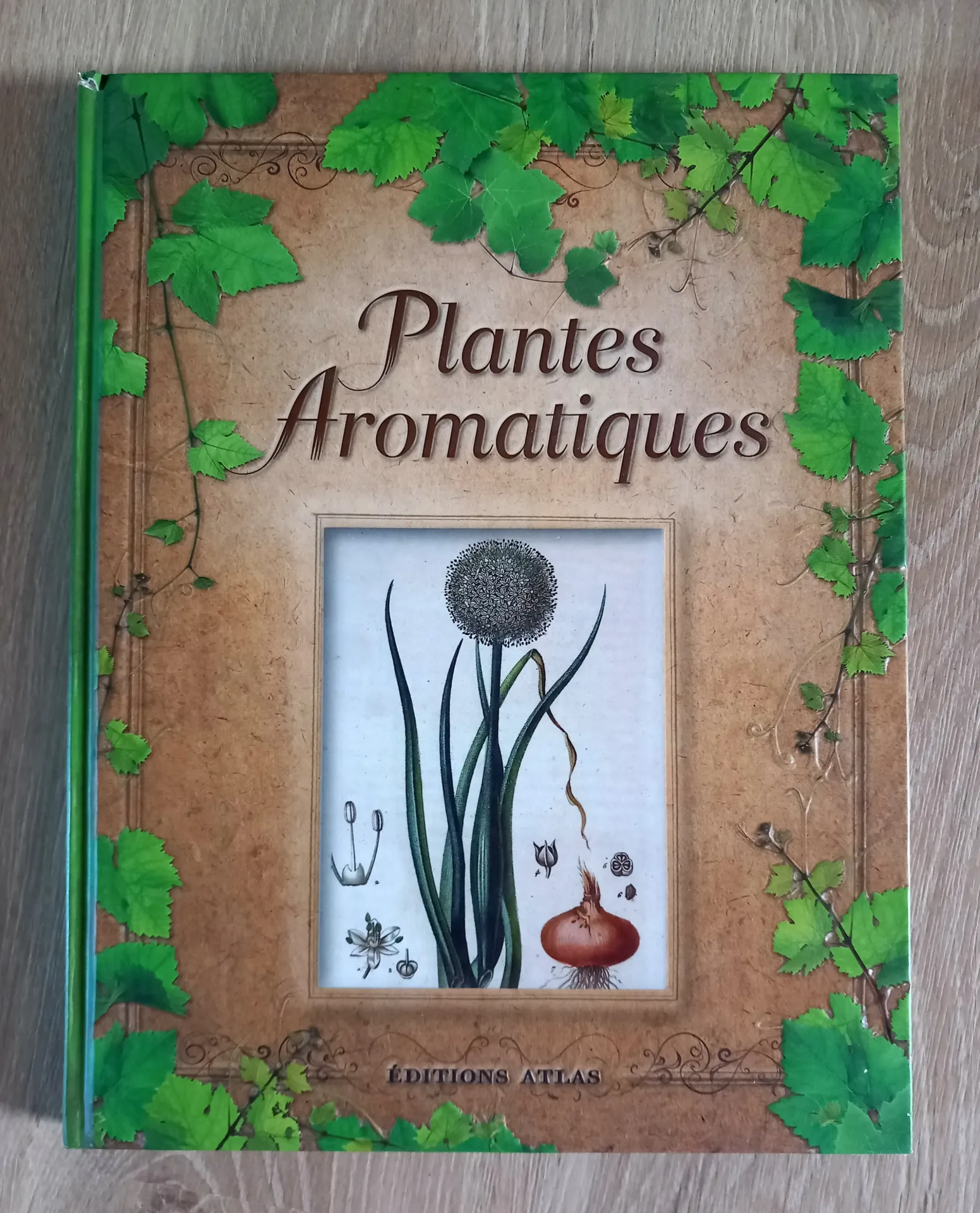 Plantes aromatiques (Michel Viard)