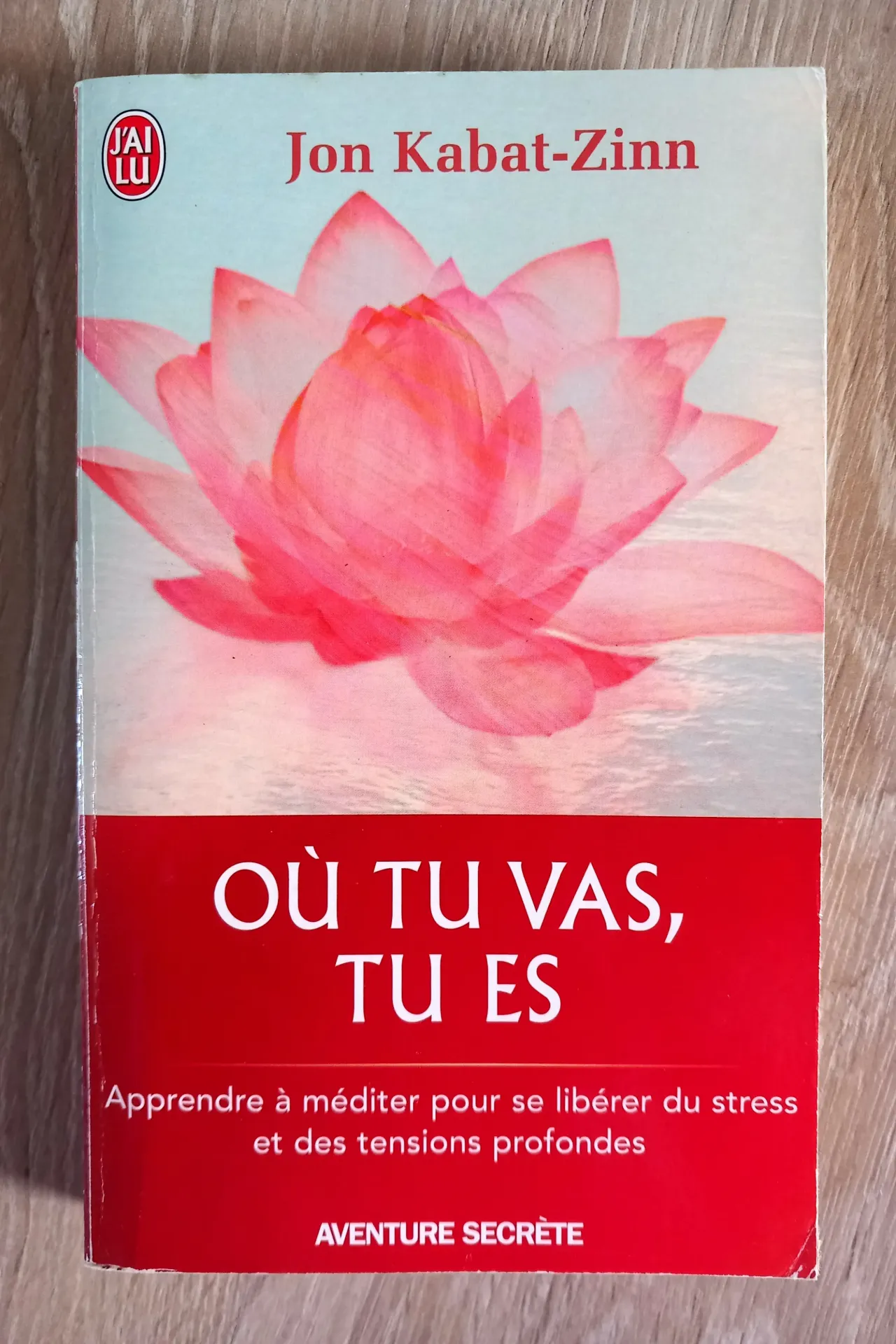 Où tu vas, tu es (Jon Kabar-Zinn)