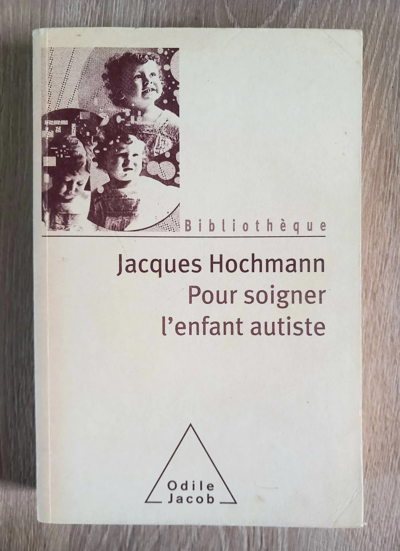 Pour soigner l'enfant autiste (Jacques Hochmann)