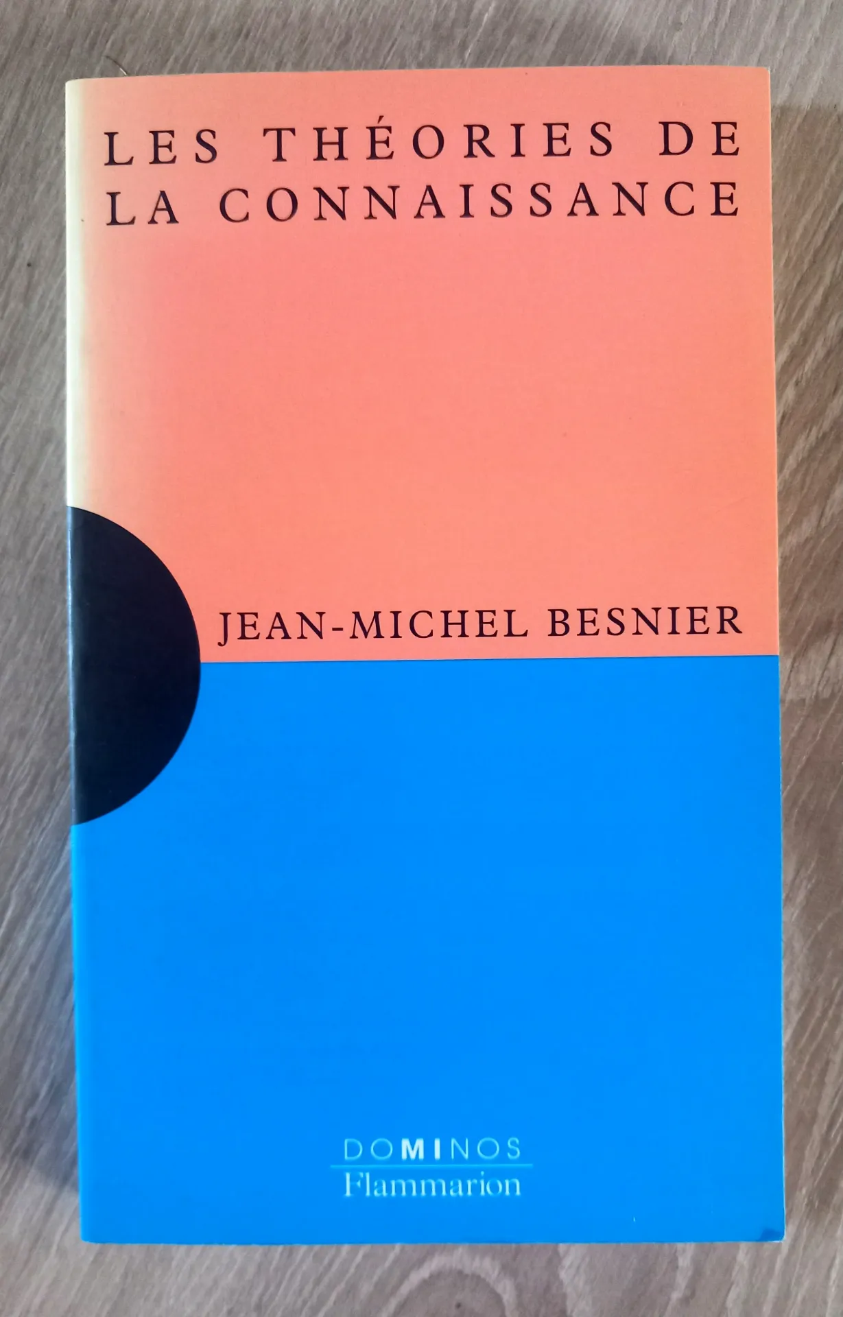Les théories de la connaissance (Jean-Michel Besnier)