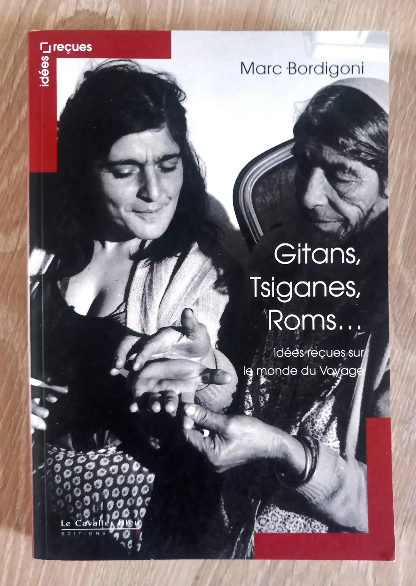 Gitans, Tsiganes, Roms. Idées reçues sur le monde du Voyage (Marc Bordigoni)