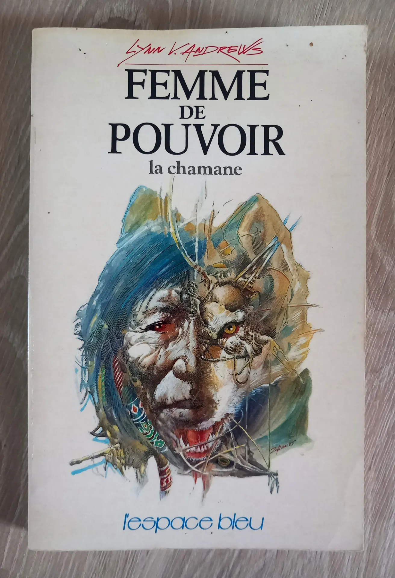 Femme de pouvoir : la chamane / Medicine woman (Lynn V. Andrews)