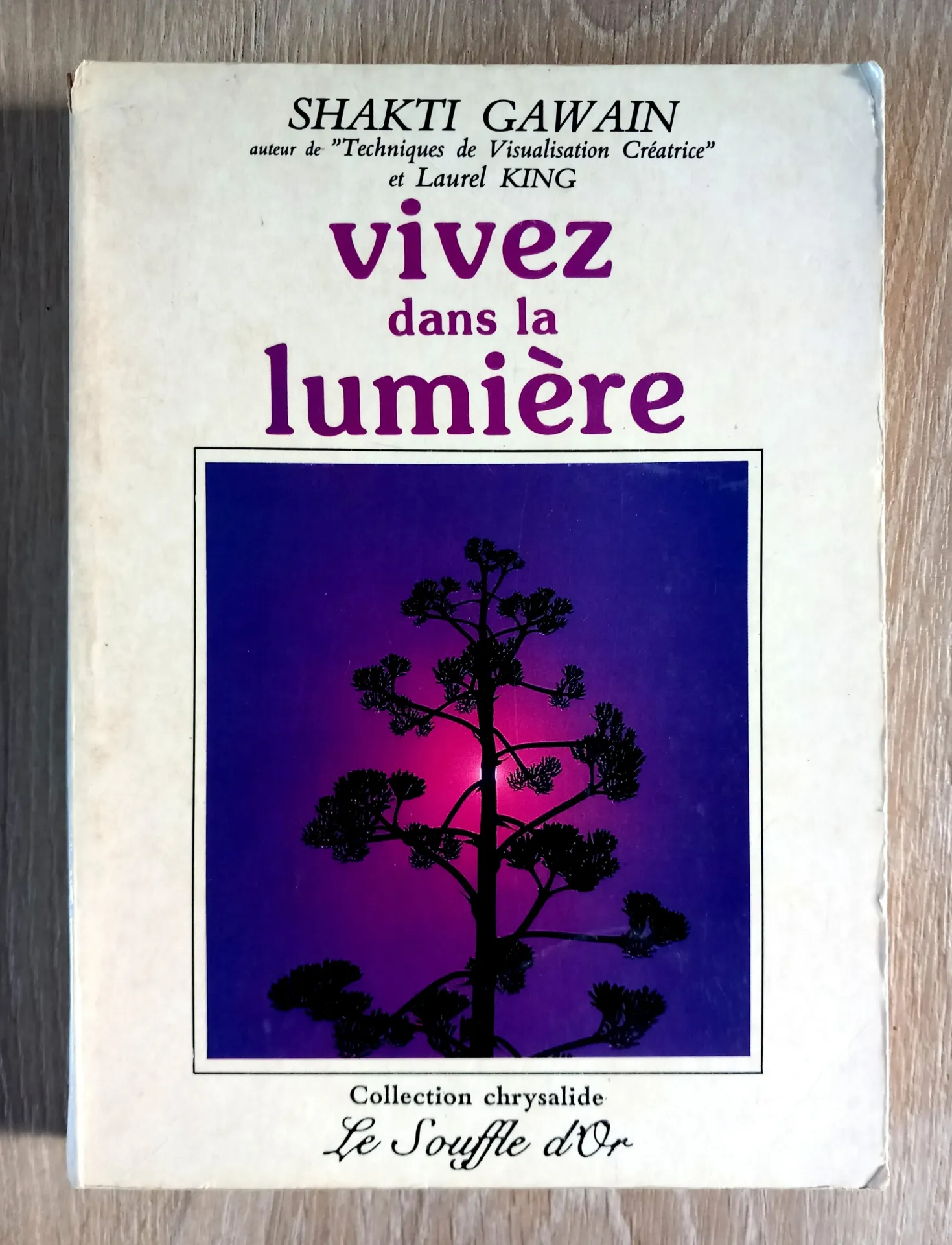 Vivez dans la lumière (Shakti Gawain, Laurel King)
