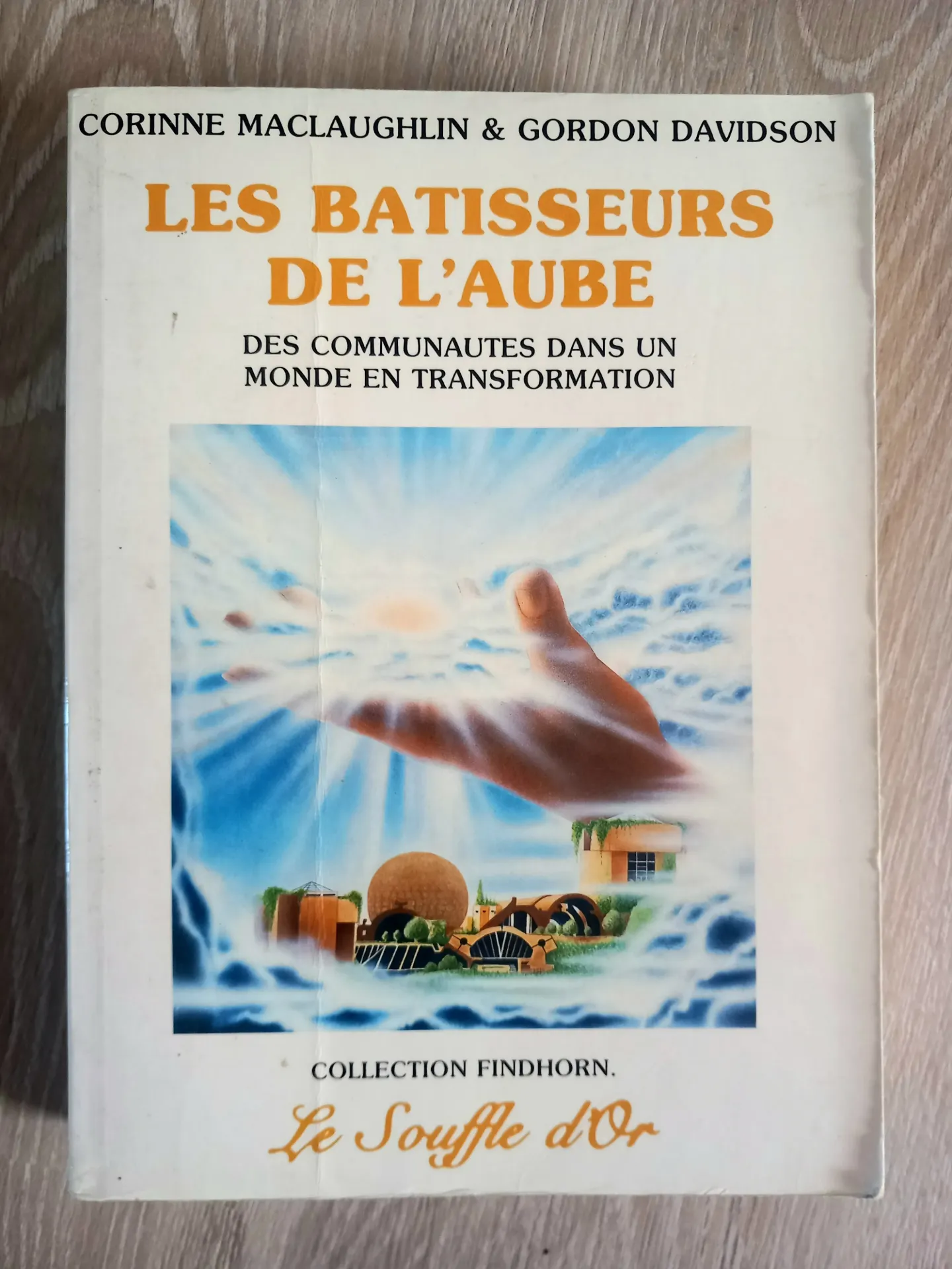 Les bâtisseurs de l'aube (Corinne Maclaughlin et Gordon Davidson)