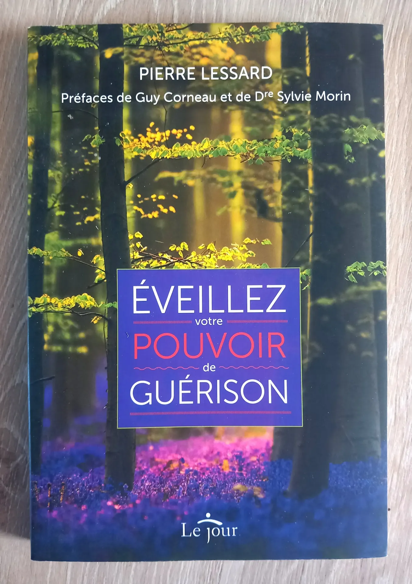 Eveillez votre pouvoir de guérison (Pierre Lessard)