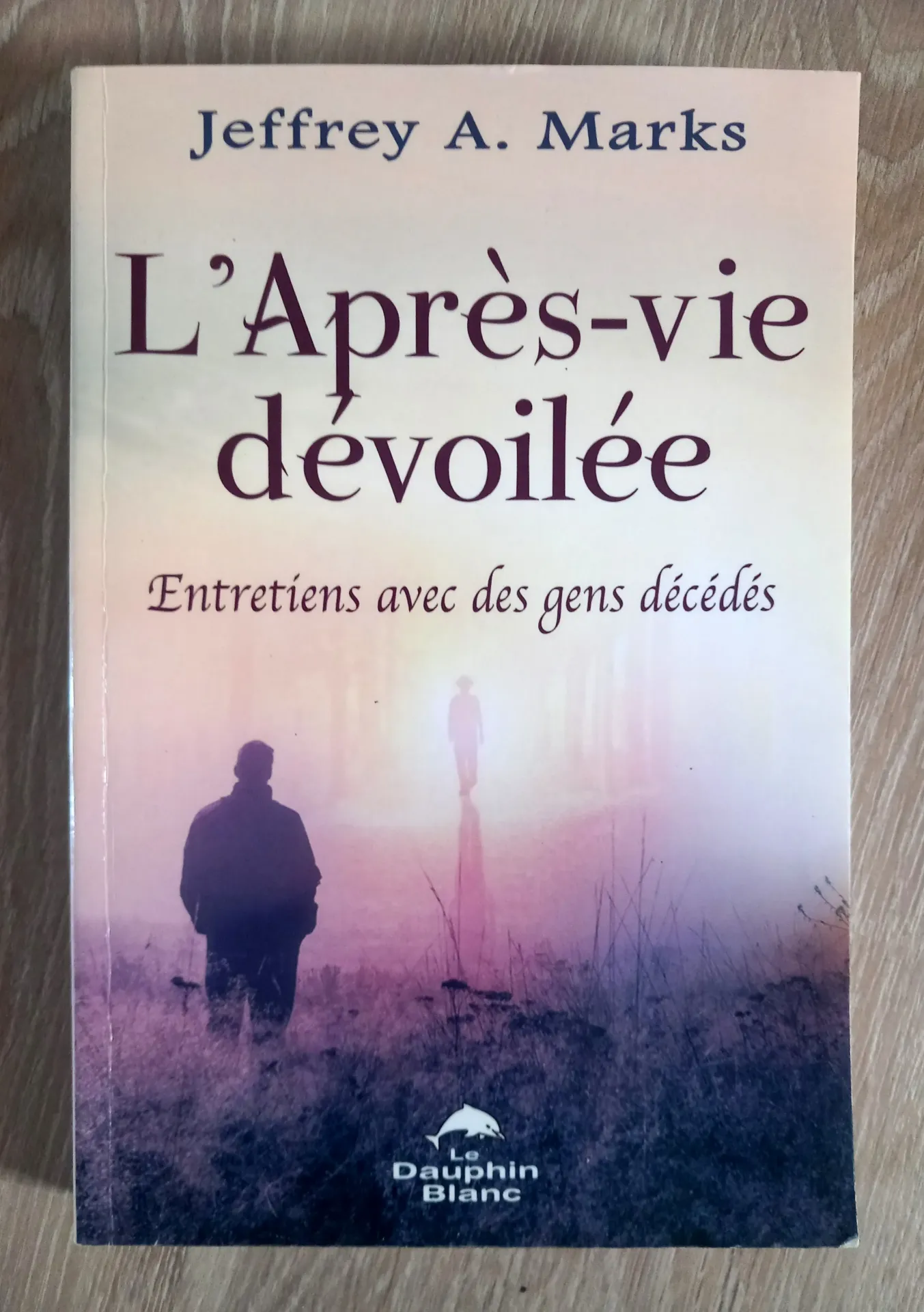 L'Après-vie dévoilée. Entretiens avec des gens décédés (Jeffrey A. Marks)