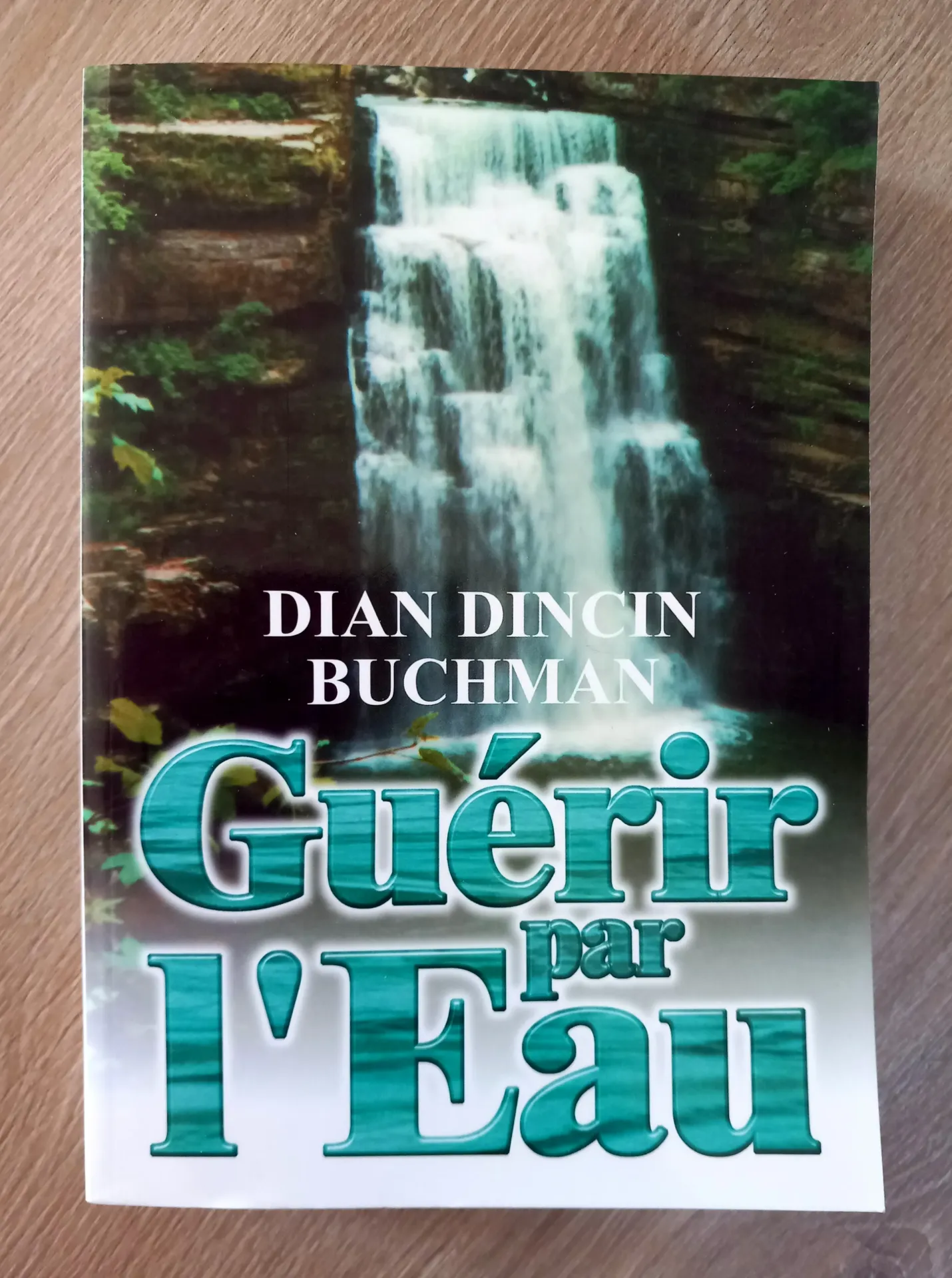 Guérir par l'eau (Dian Dincin Buchman)