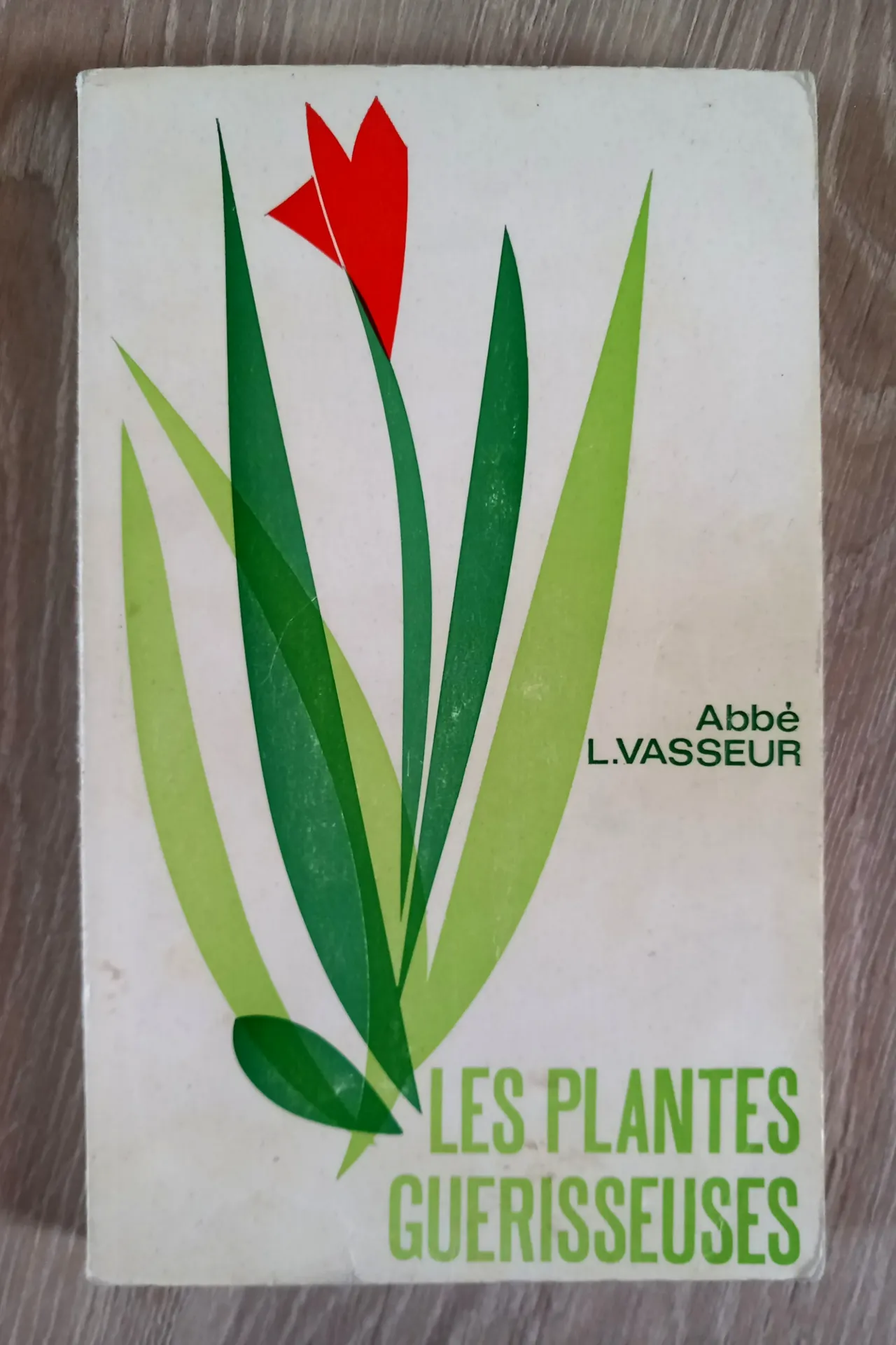 Les plantes guérisseuses (Abbé L. Vasseur)