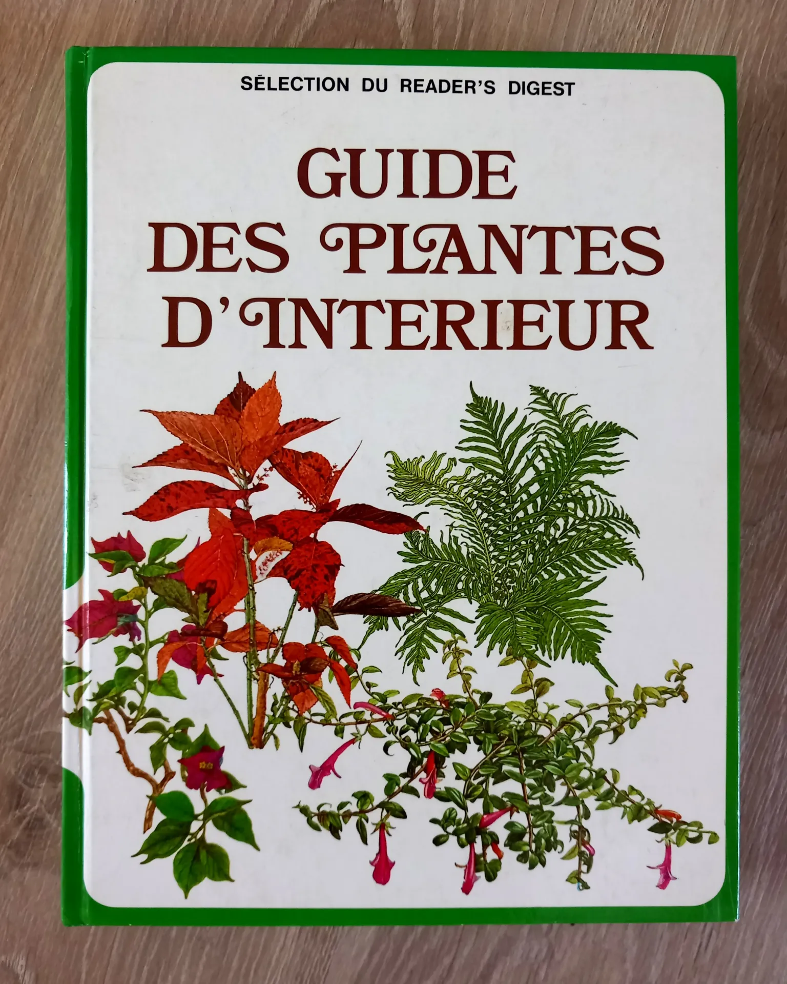 Guide des plantes d'intérieur (Dorling Kindersley)