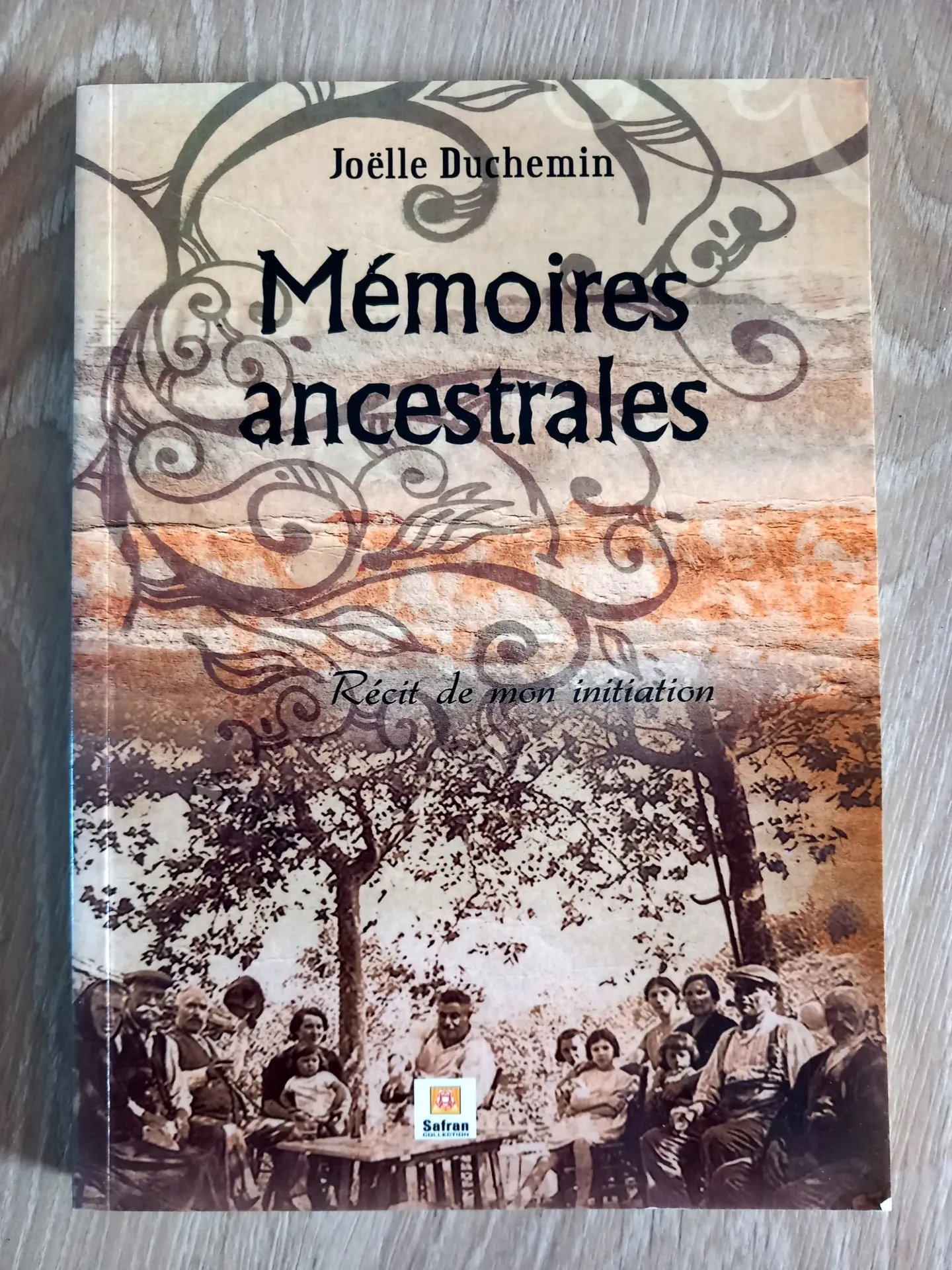 Mémoires ancestrales, récit de mon initiation (Joëlle Duchemin)