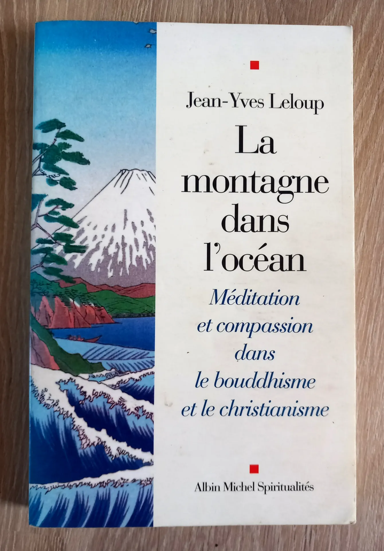 La montagne dans l'océan (Jean-Yves Leloup)
