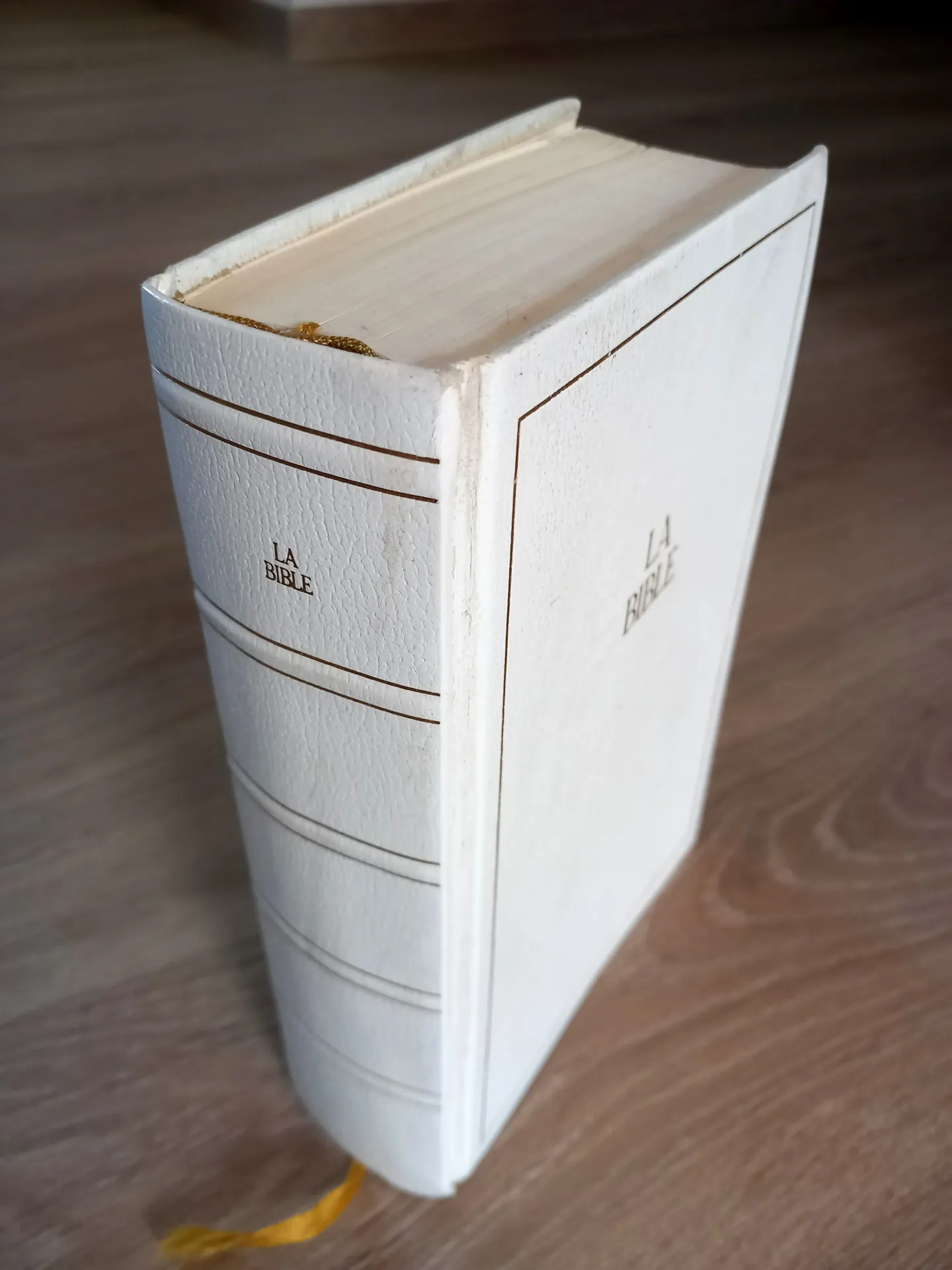 La Sainte Bible (Version par les moines de Maredsous)