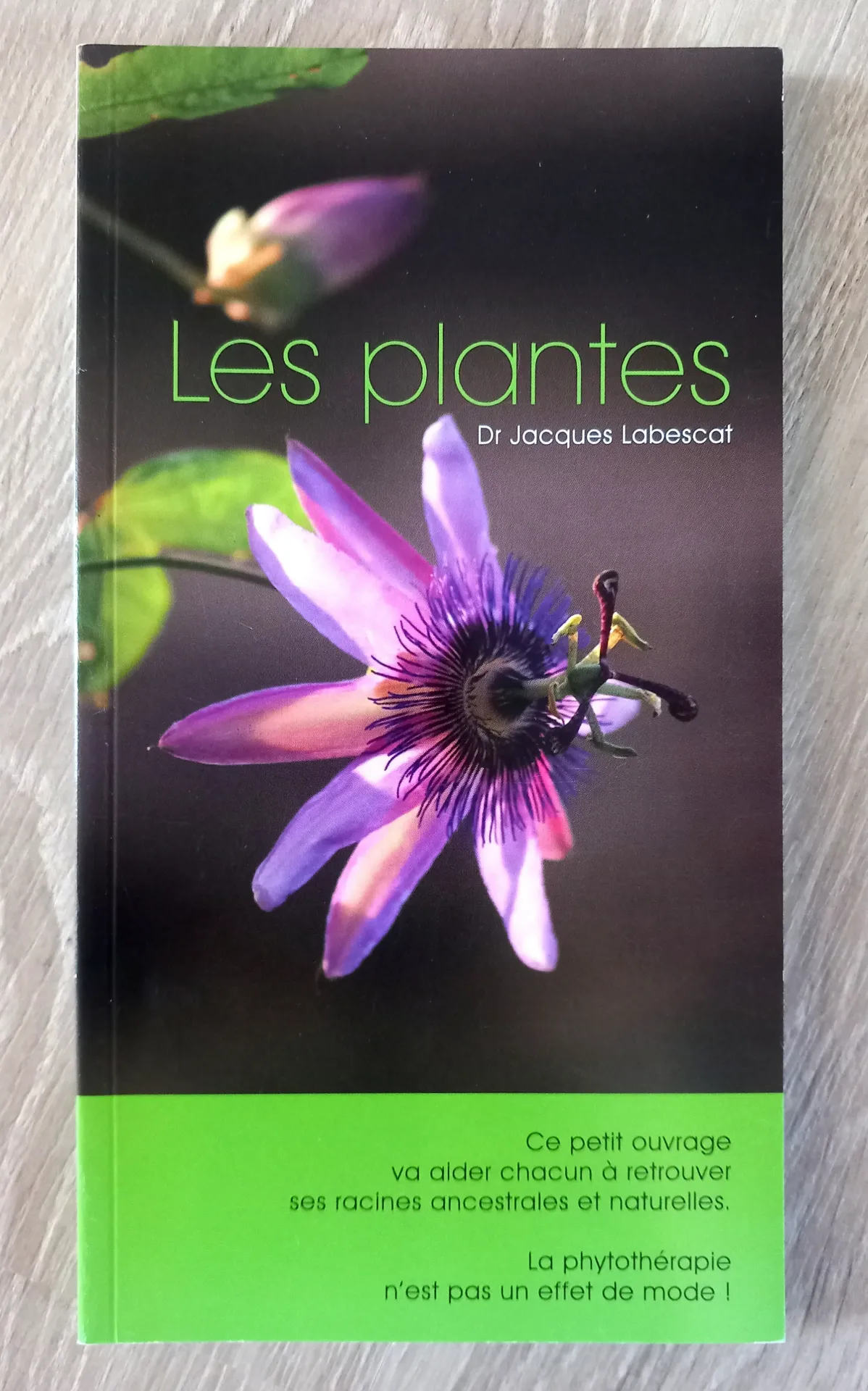 Les plantes, comment soigner et se soigner (Dr Jacques Labescat)