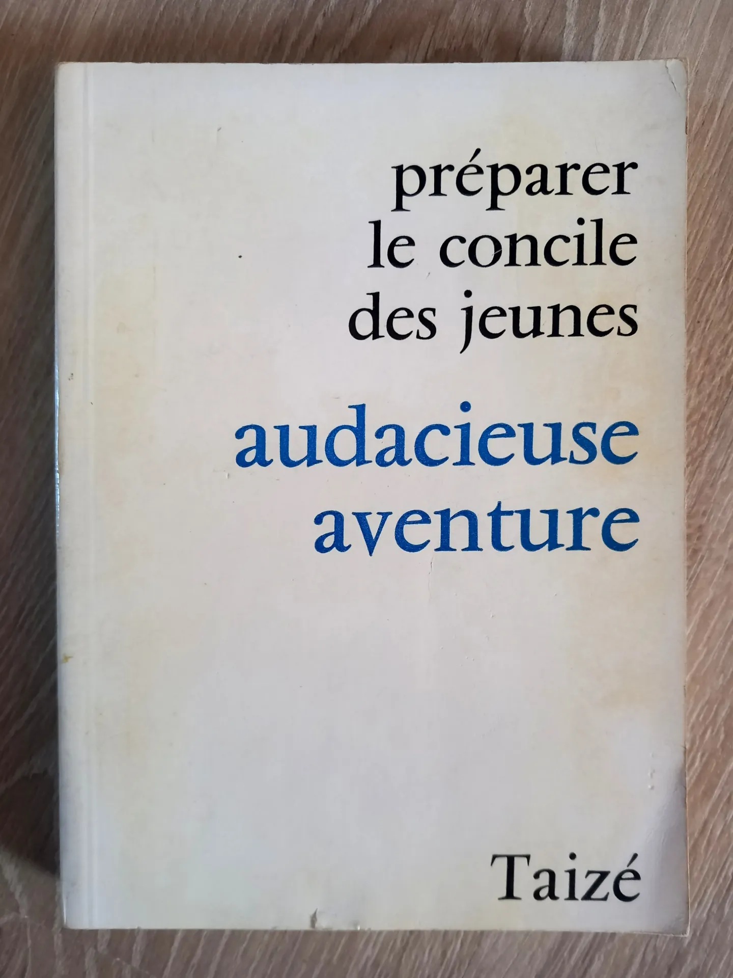 Préparer le concile des jeunes. Audacieuse aventure (Klaus Beurle et Sabine Laplane)