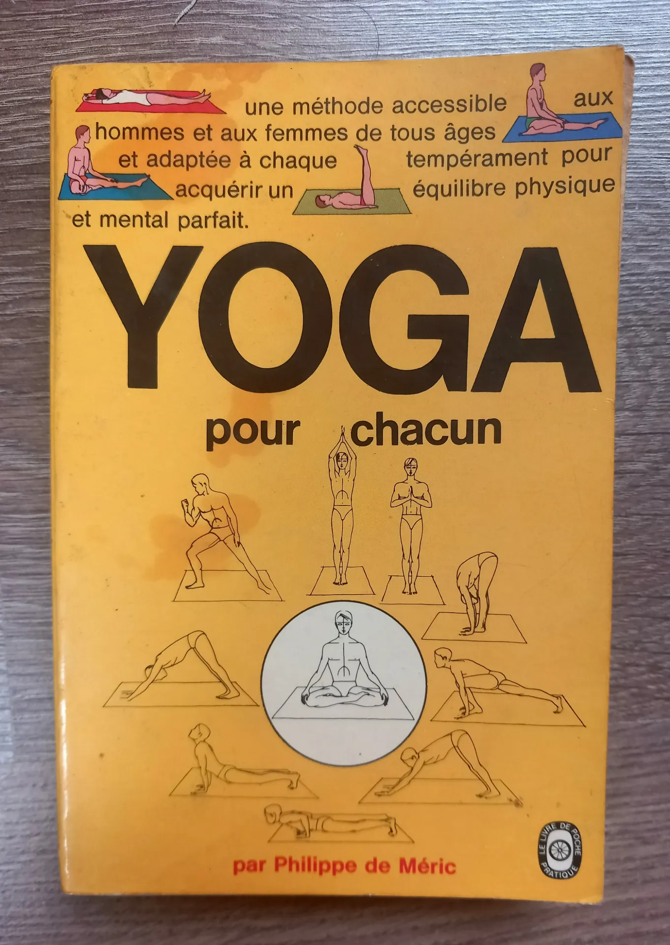 Yoga pour chacun (Philippe de Méric)