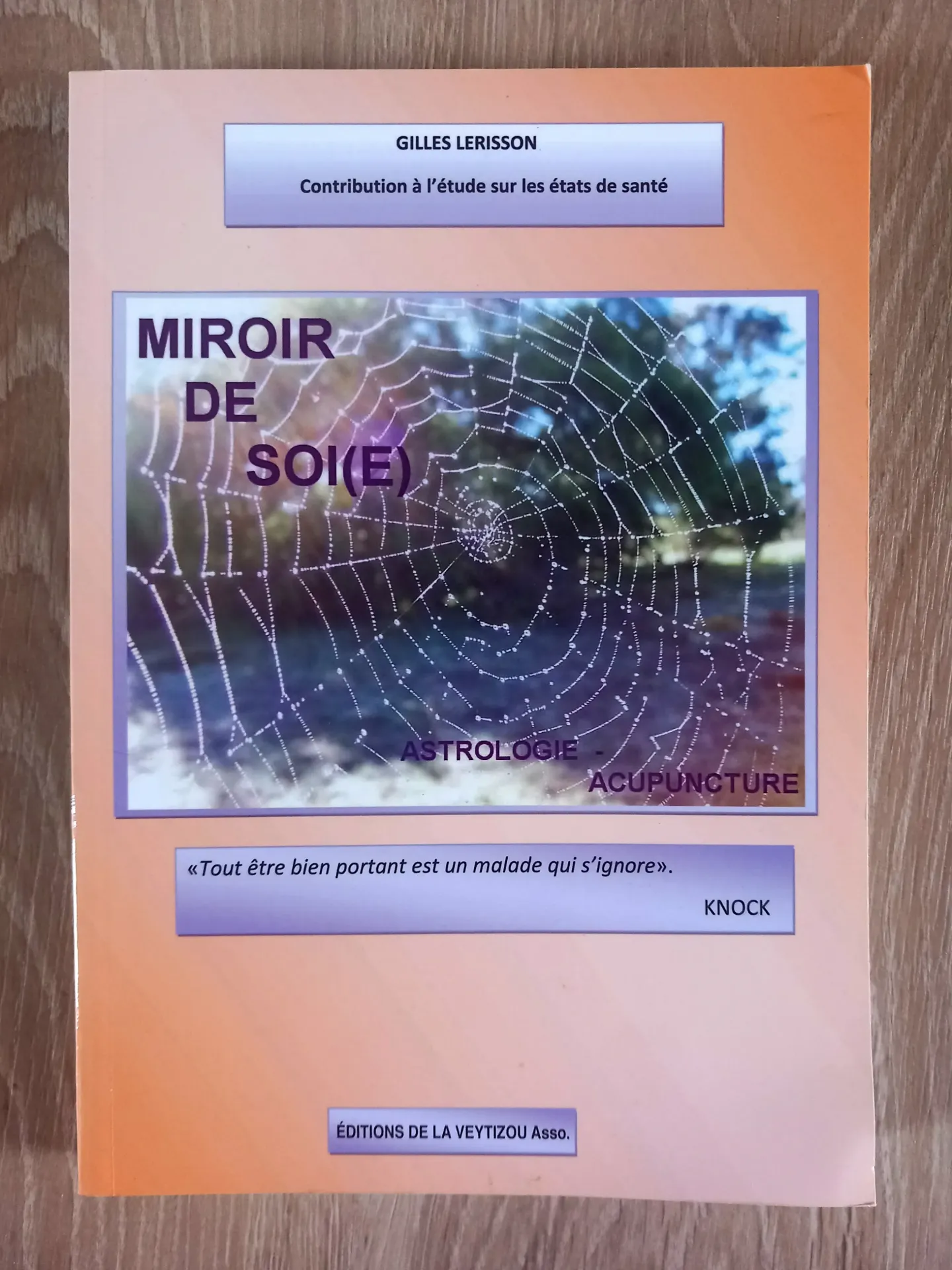Miroir de soi(e) (Gilles Lerisson)