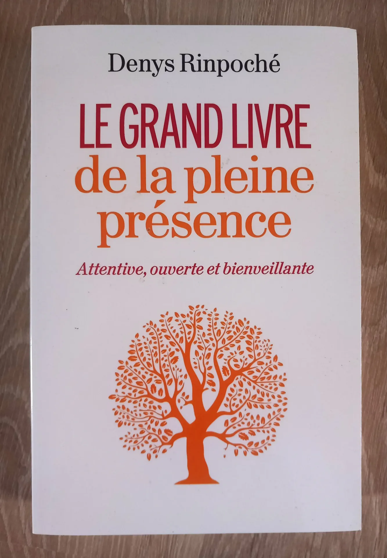Le grand livre de la pleine présence (Denys Rinpoché)
