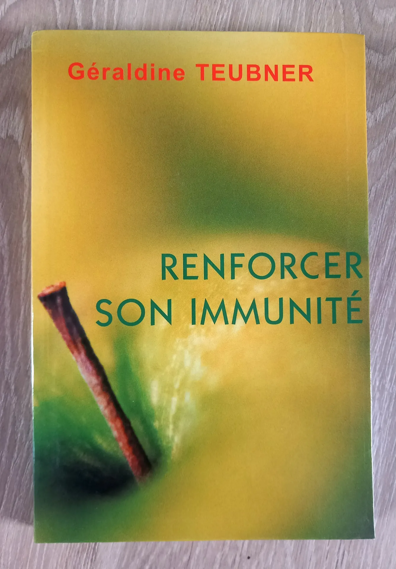 Renforcer son immunité (Géraldine Teubner)