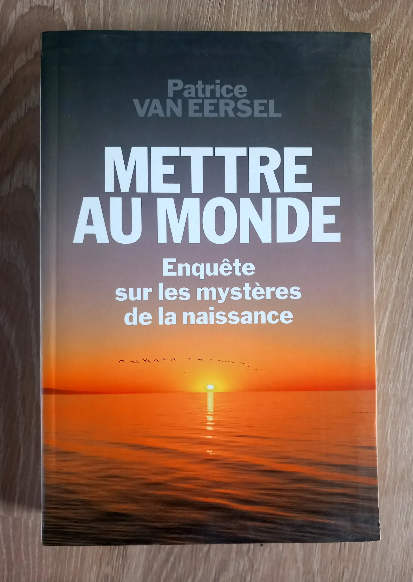 Mettre au monde. Enquête sur les mystères de la naissance (Patrice Van Eersel)
