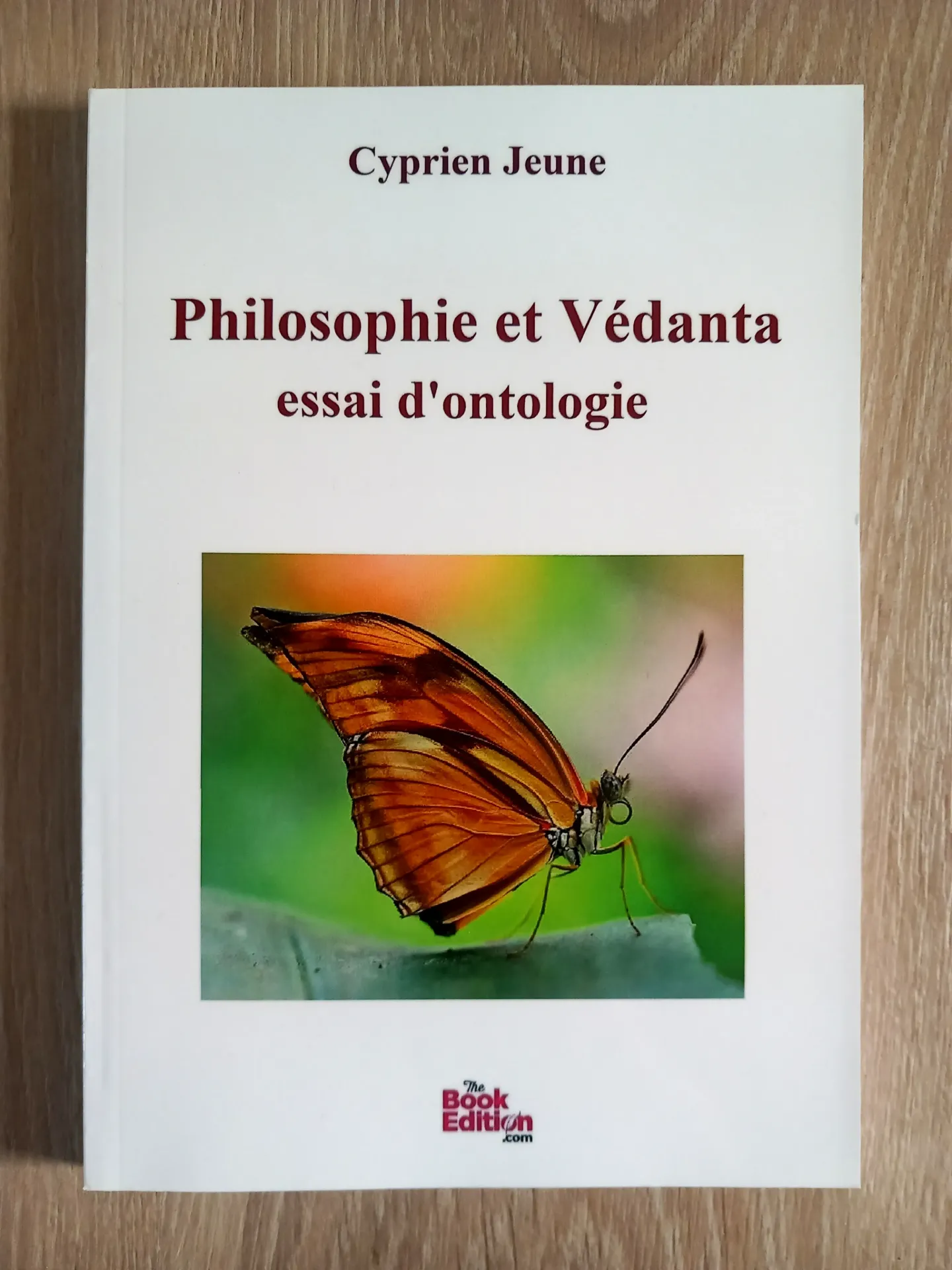 Philosophie et Védanta, essai d'ontologie (Cyprien Jeune)