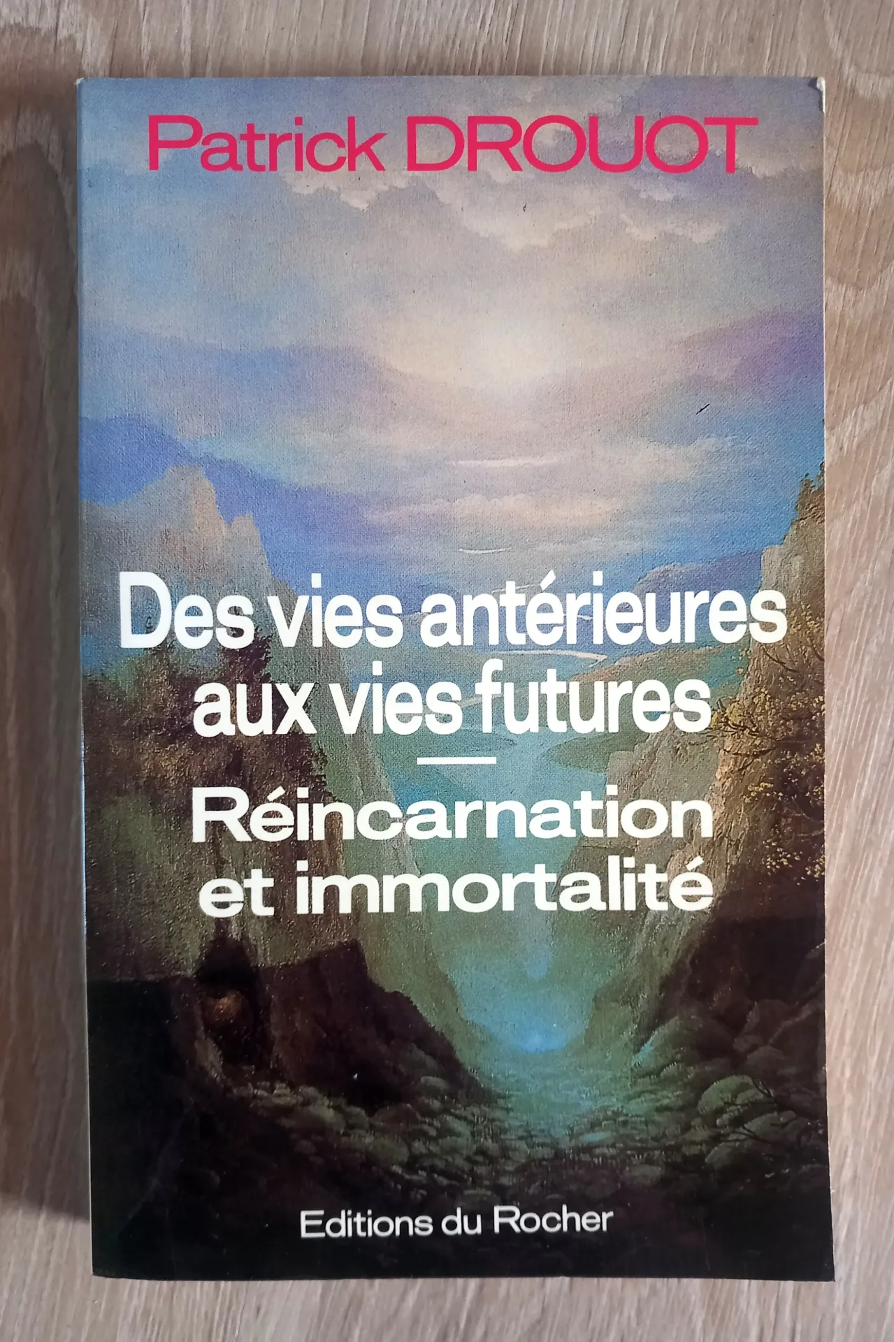 Des vies antérieures aux vies futures. Réincarnation et immortalité (Patrick Drouot)